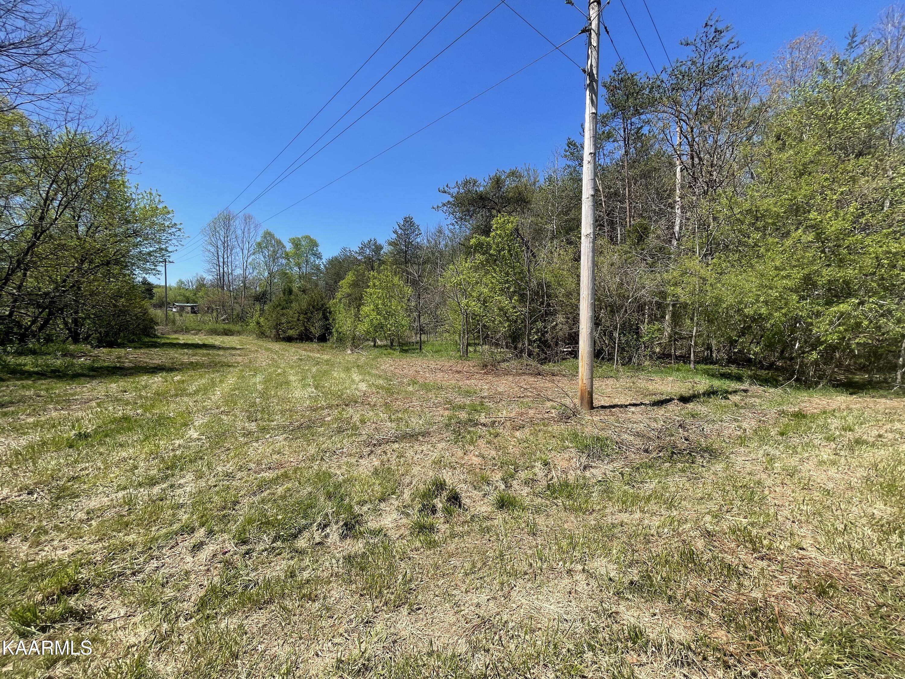 Tellico Plains, TN 37385,72a Reagan Valley Rd