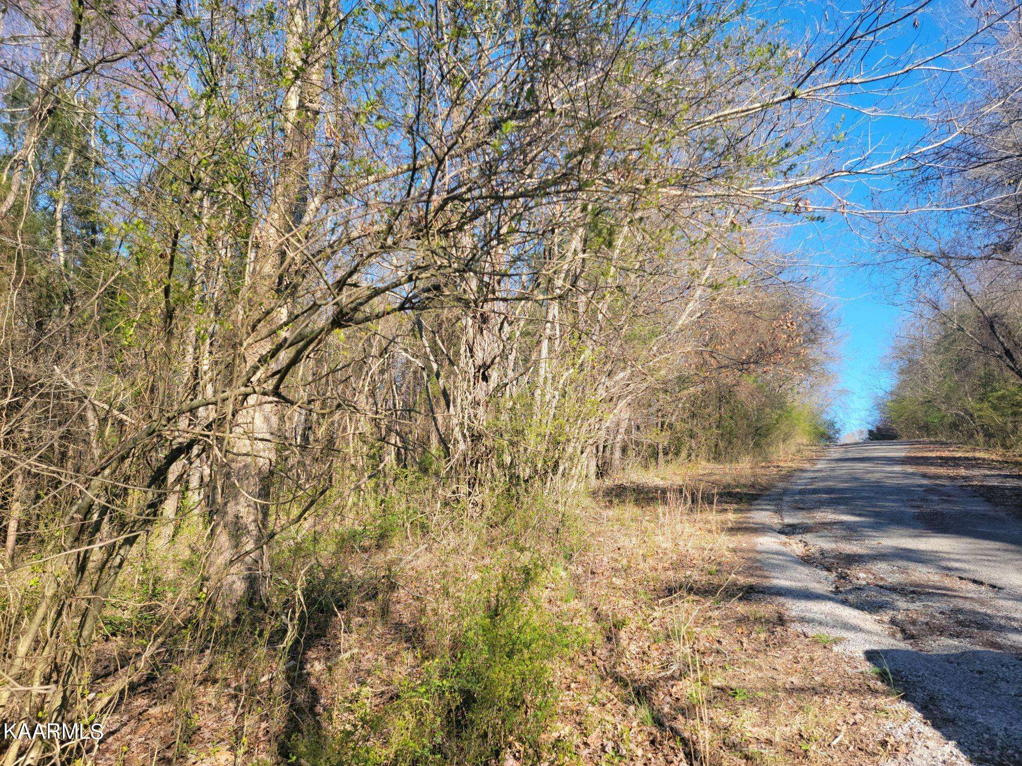 Spring City, TN 37381,Lot 22 Moon Circle