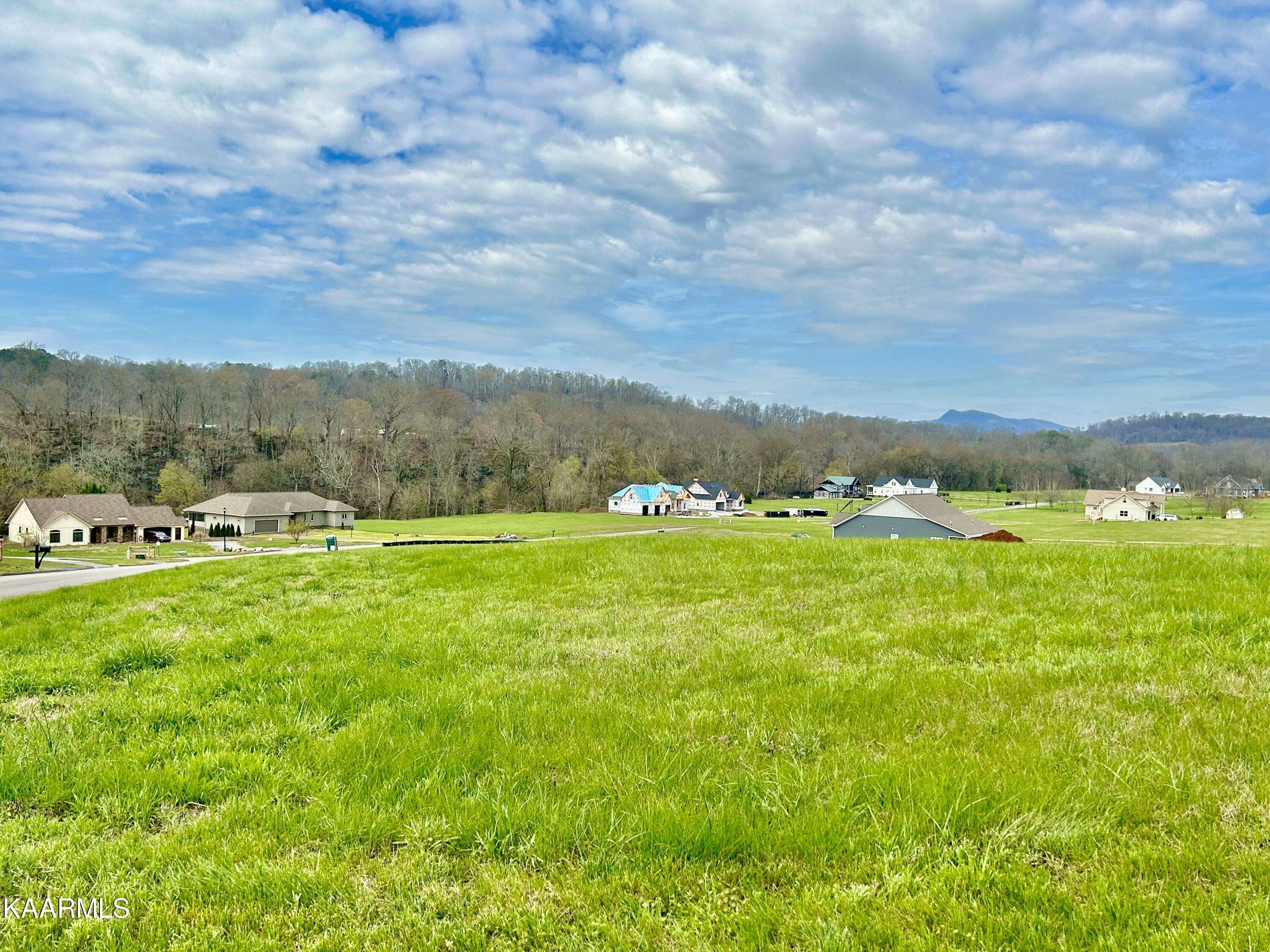 New Market, TN 37820,1910 River Mist CIR