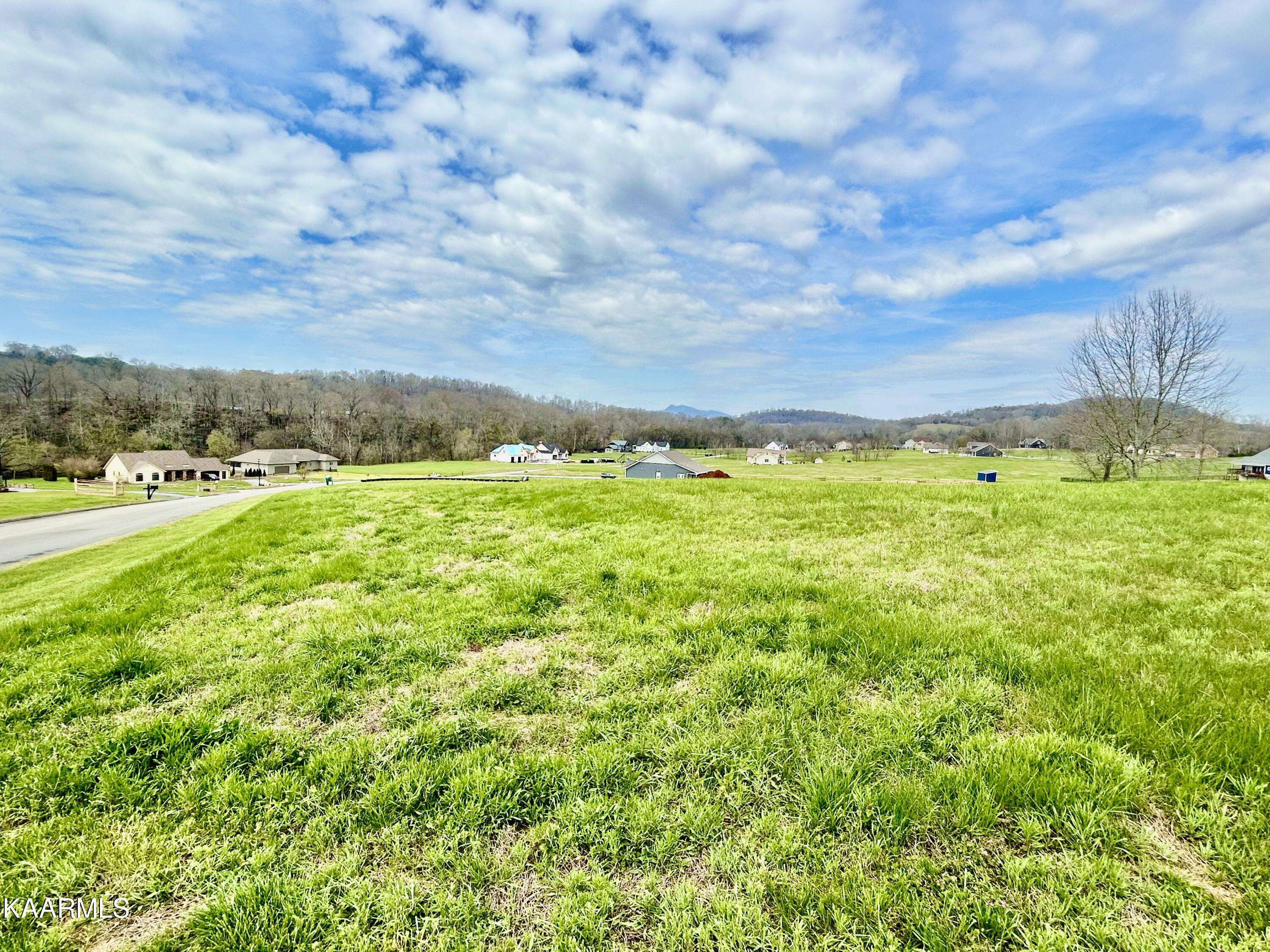 New Market, TN 37820,1910 River Mist CIR