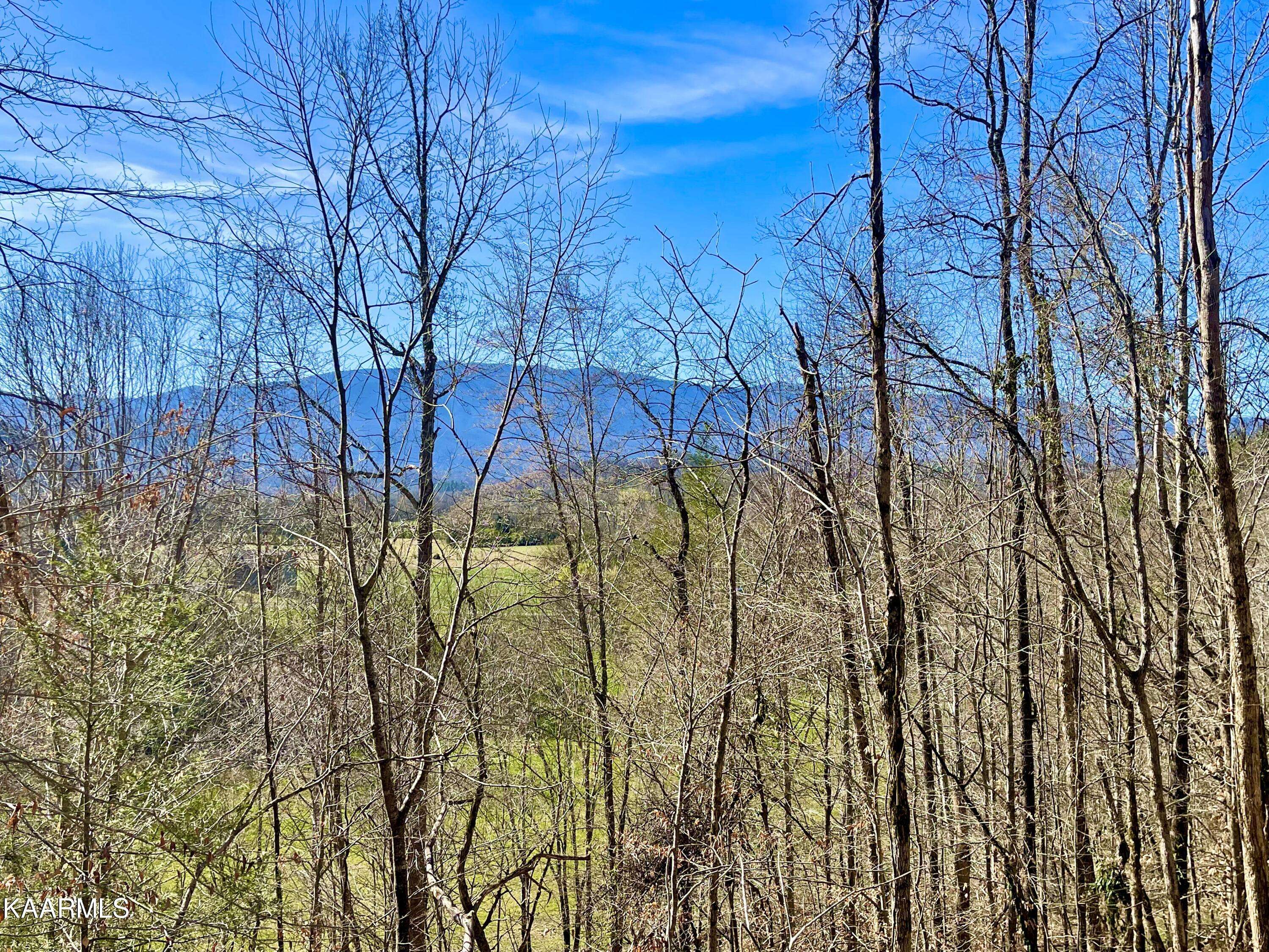 Cosby, TN 37722,Lot 3R-4 Pleasant Valley Rd