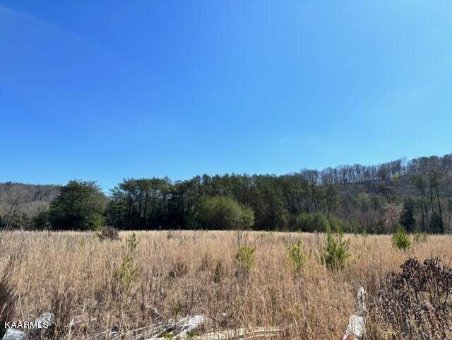 Blaine, TN 37709,Smith Hollow Rd