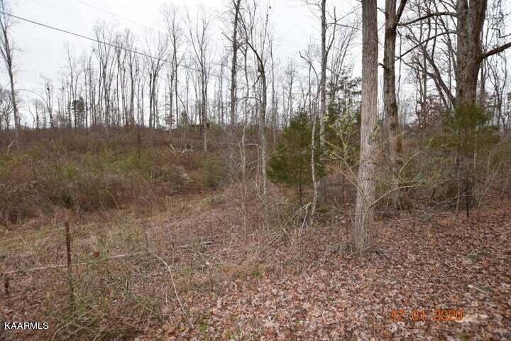 Ten Mile, TN 37880,Lot 4 Maple Grove Rd