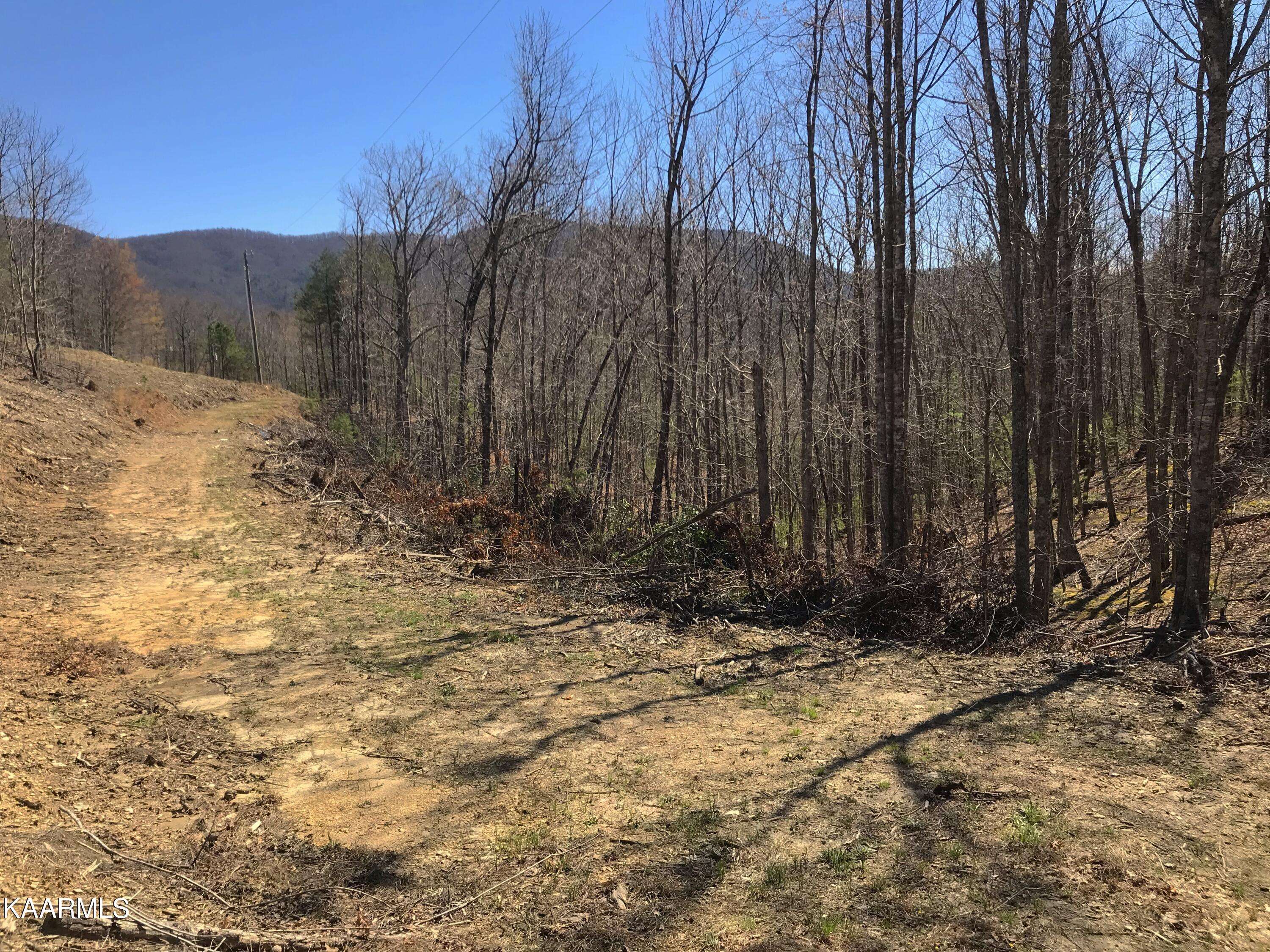 Tellico Plains, TN 37385,460 Smithfield Rd