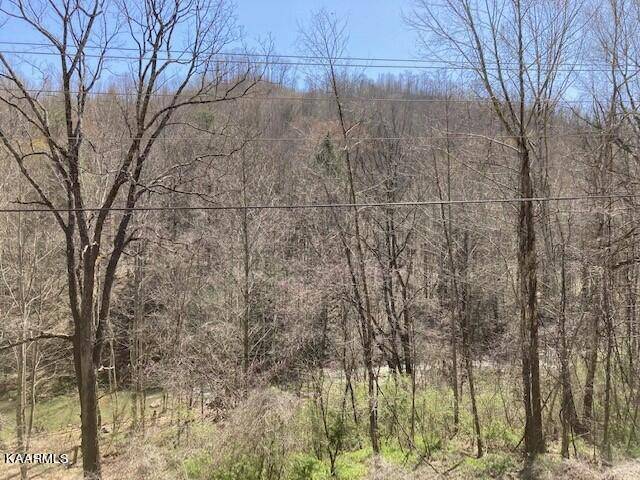 Duff, TN 37729,1Acre Habersham Rd