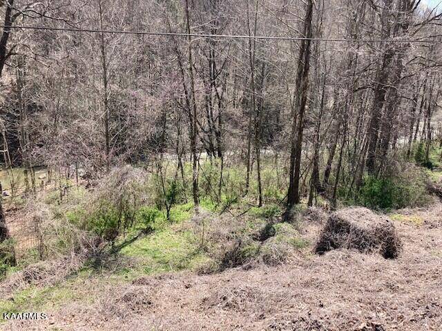 Duff, TN 37729,1Acre Habersham Rd