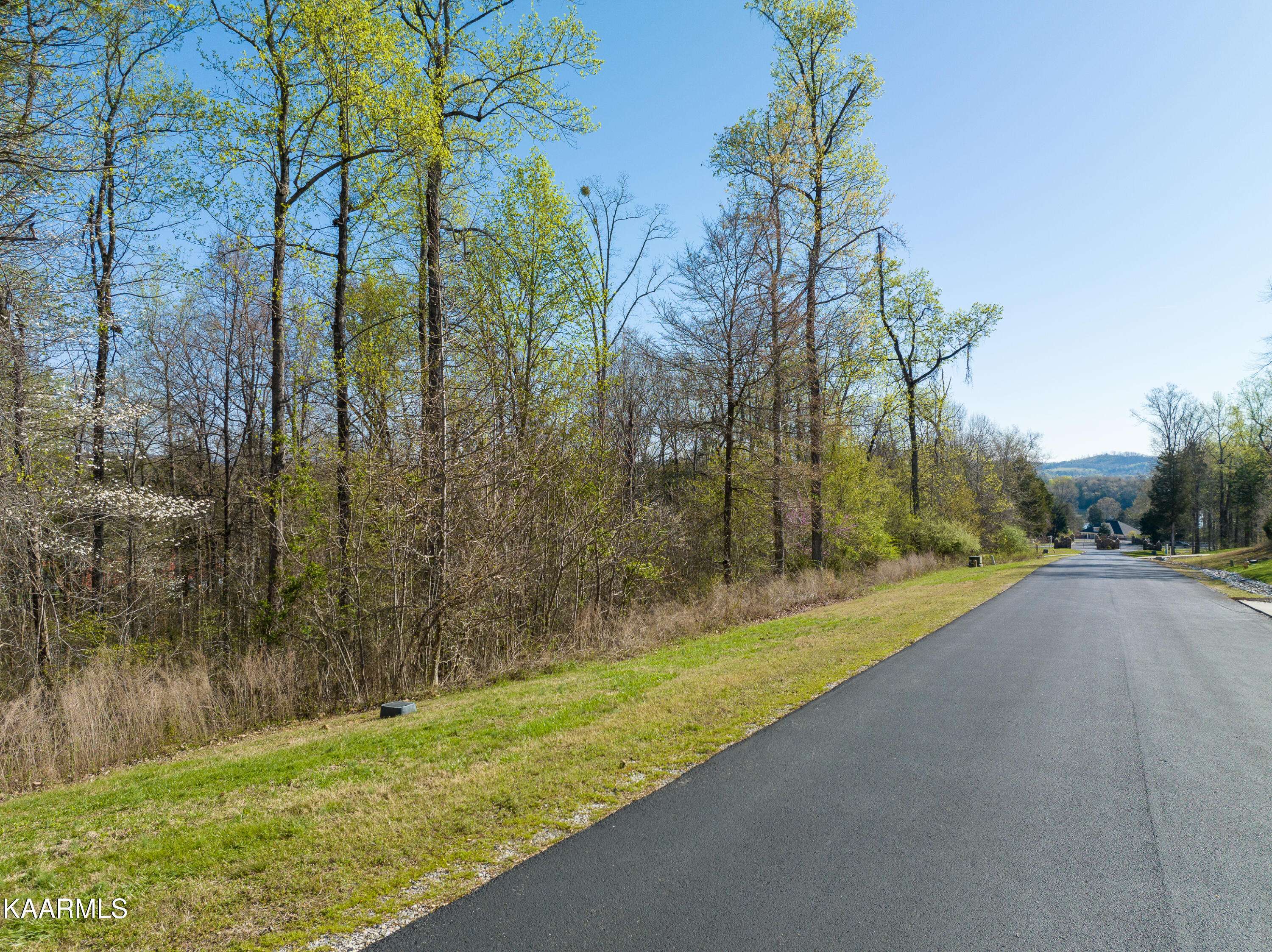 Rockwood, TN 37854,373 Walking Horse Tr