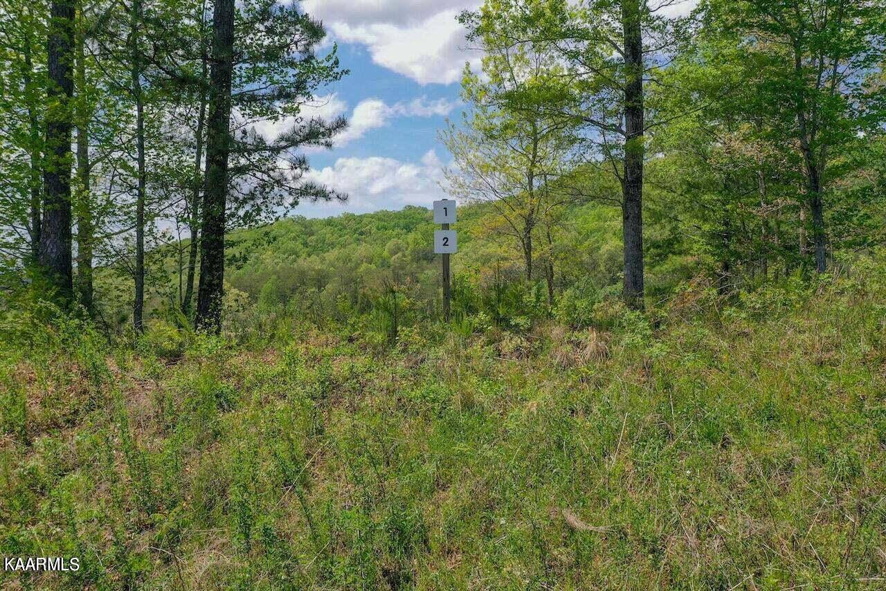 Sevierville, TN 37876,Lot 1 & 2 Mountain Ash Way