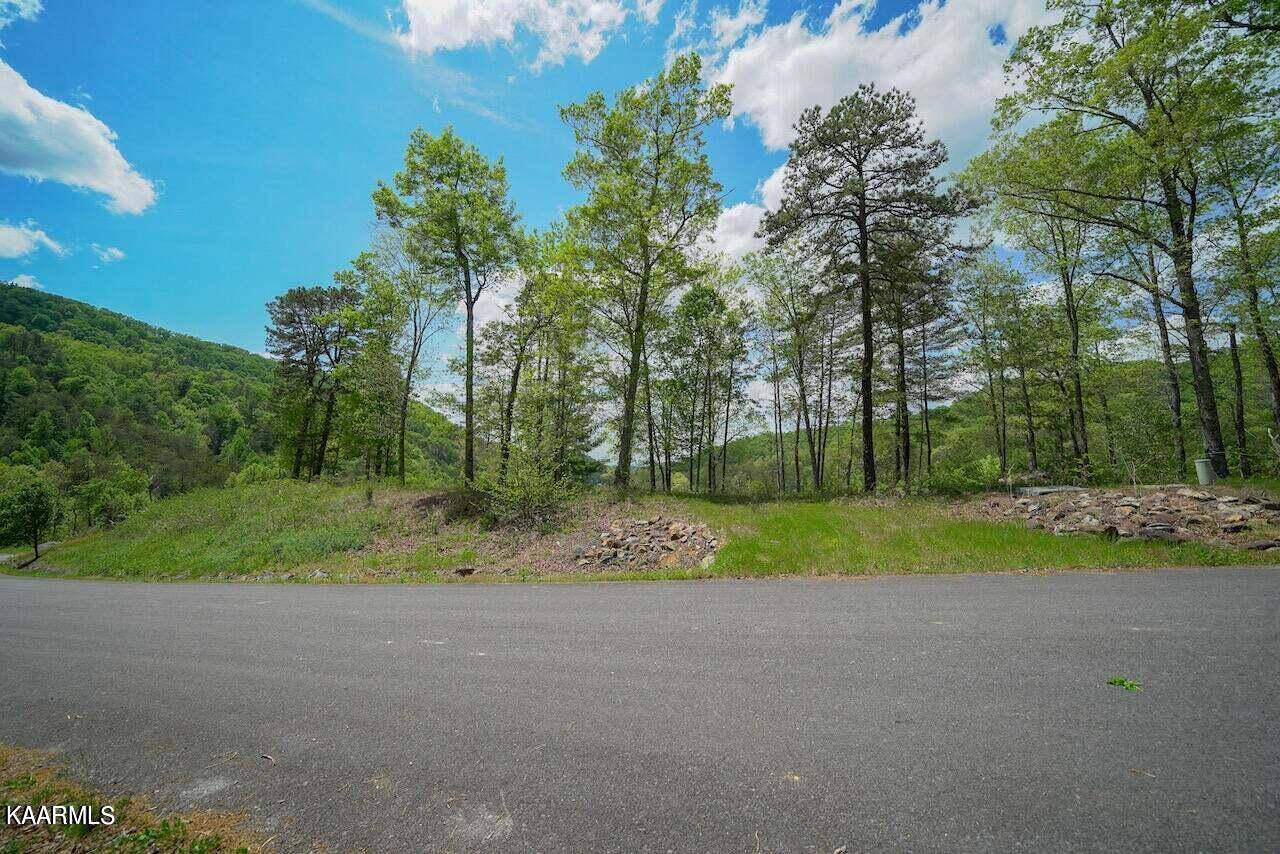 Sevierville, TN 37876,Lot 1 & 2 Mountain Ash Way