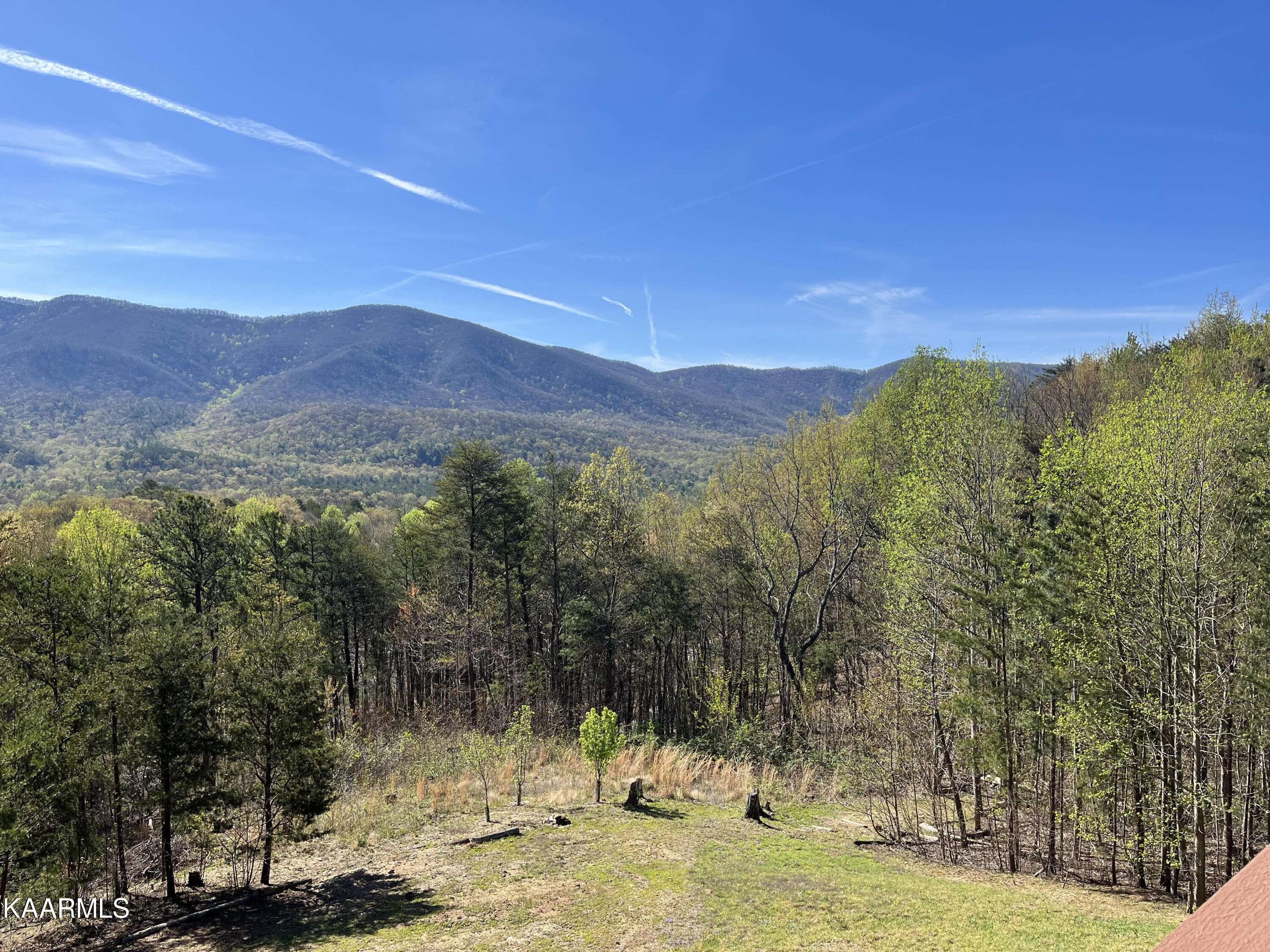 Tellico Plains, TN 37385,4025 Harold Witt Rd