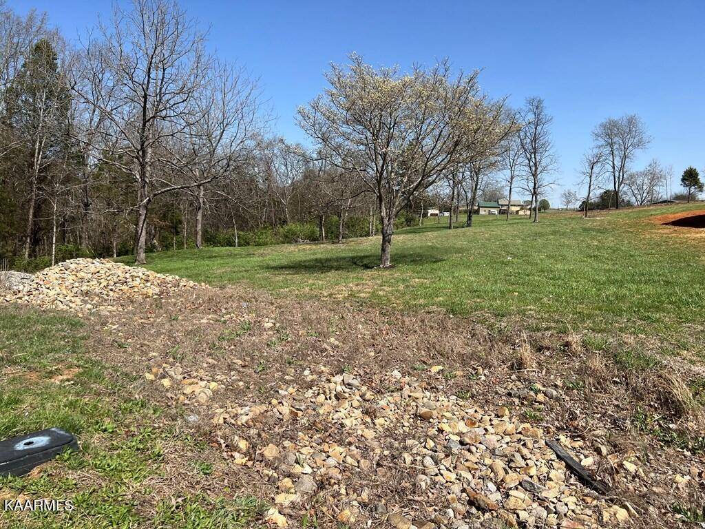 Dandridge, TN 37725,lot 31 SULLIVAN PT