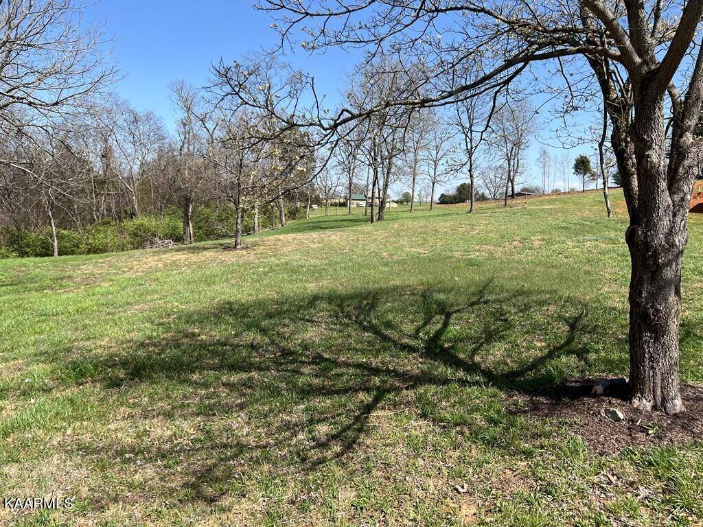 Dandridge, TN 37725,lot 31 SULLIVAN PT