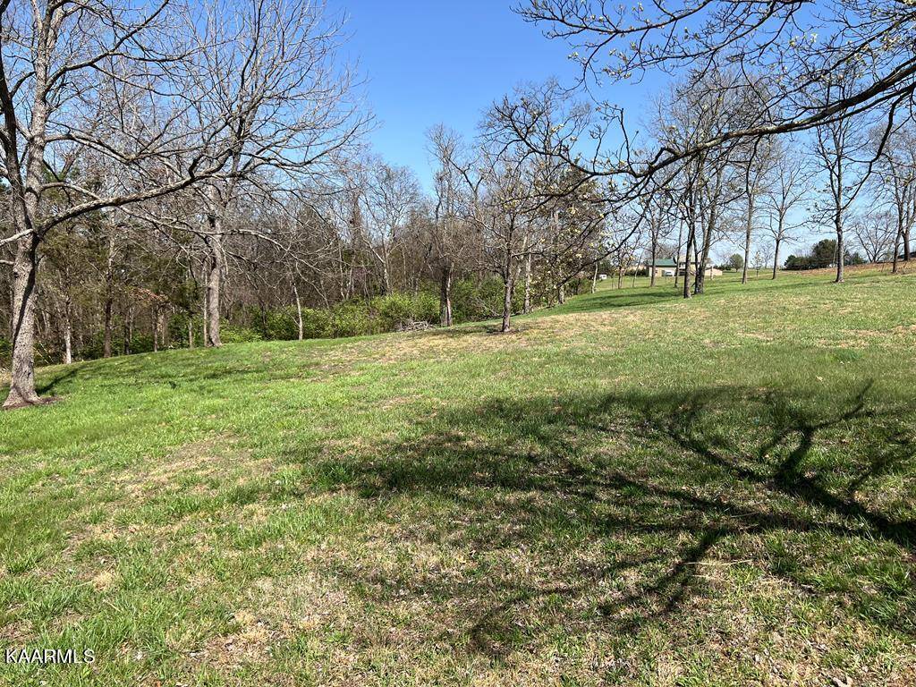 Dandridge, TN 37725,lot 31 SULLIVAN PT