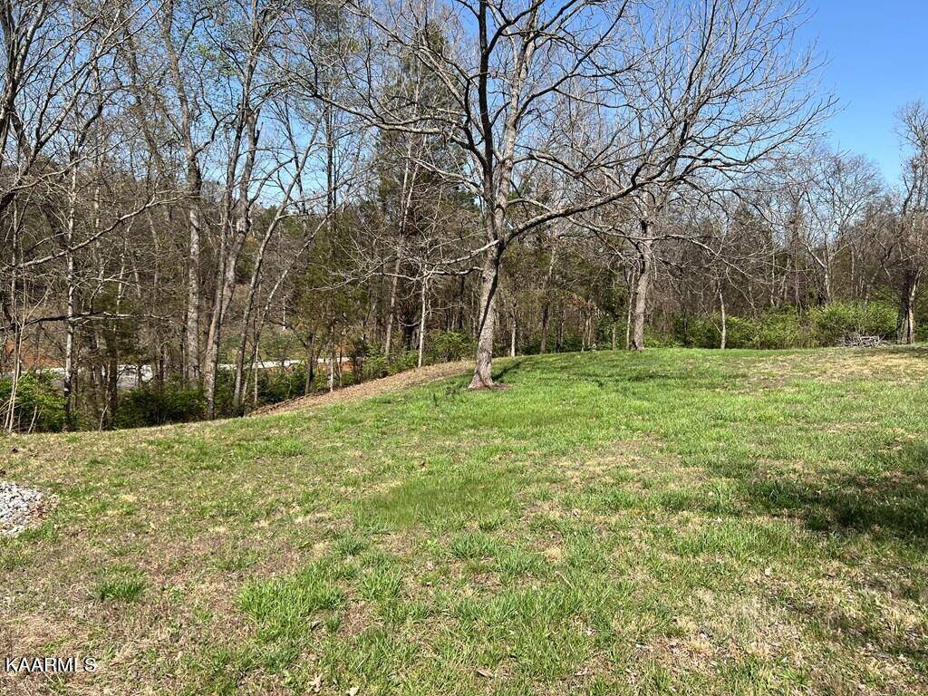 Dandridge, TN 37725,lot 31 SULLIVAN PT