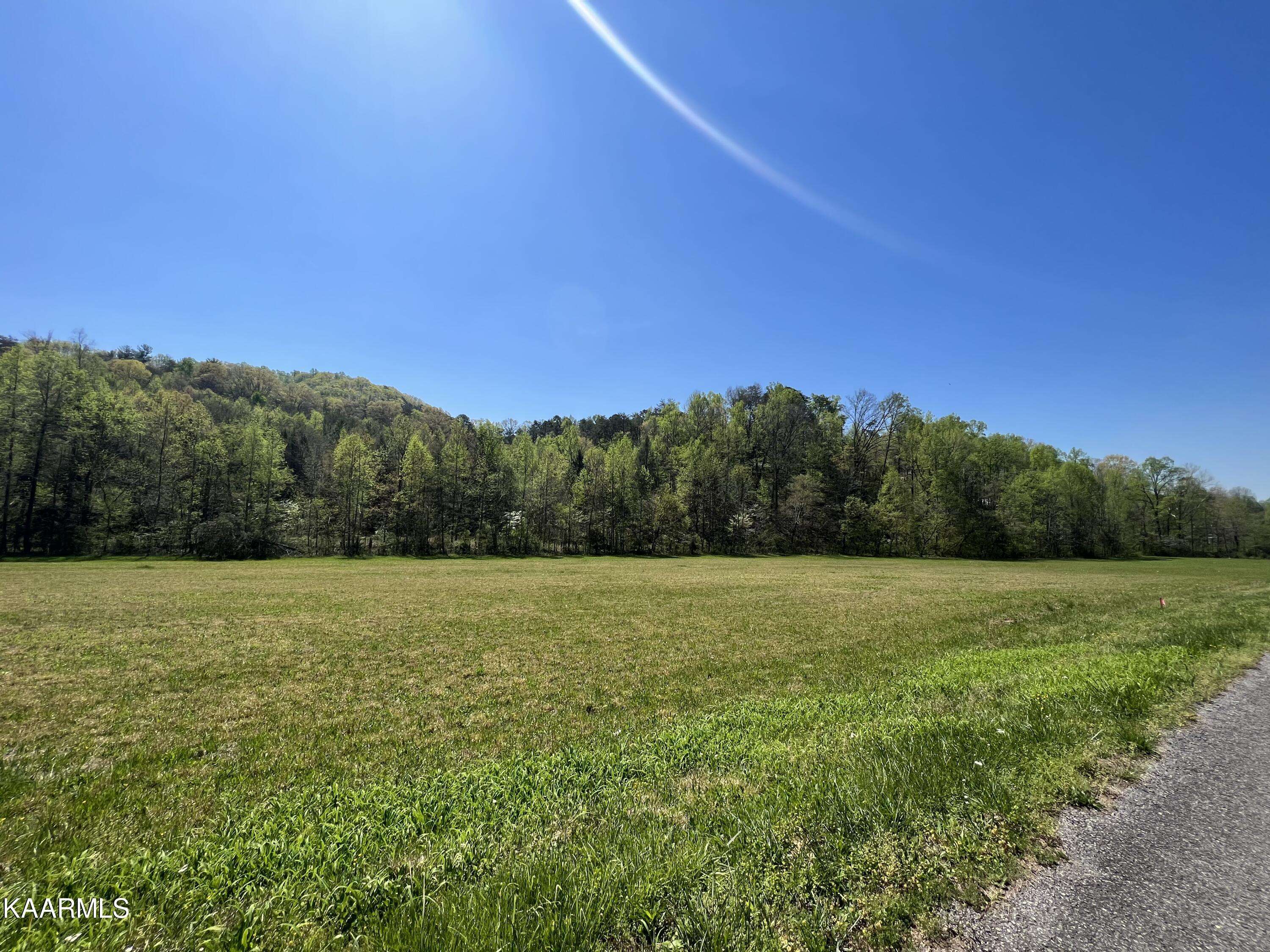 Tellico Plains, TN 37385,1440 Belltown Rd