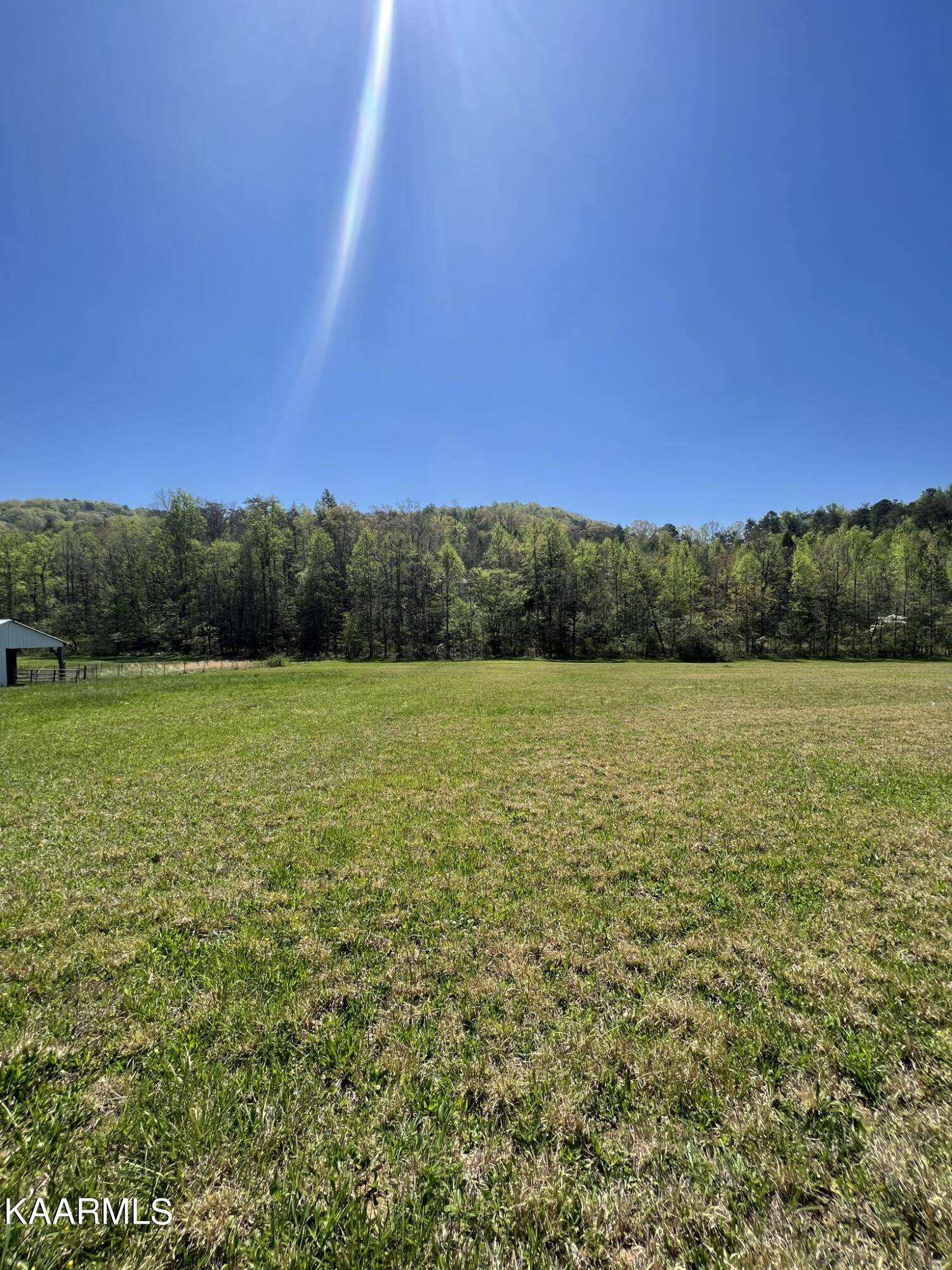 Tellico Plains, TN 37385,1450 Belltown Rd