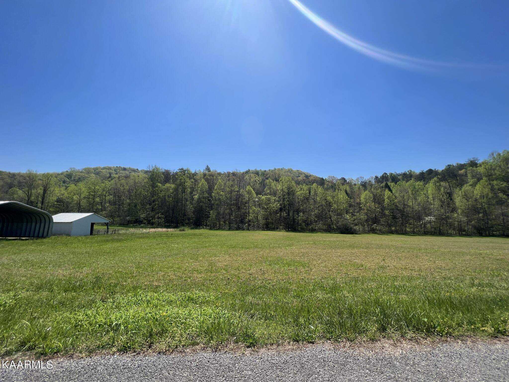 Tellico Plains, TN 37385,1450 Belltown Rd