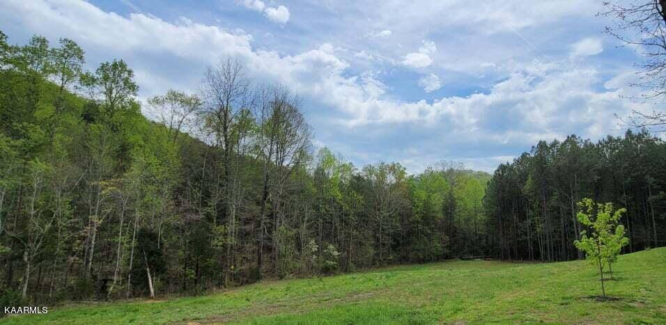 Tellico Plains, TN 37385,266 Payne LOOP