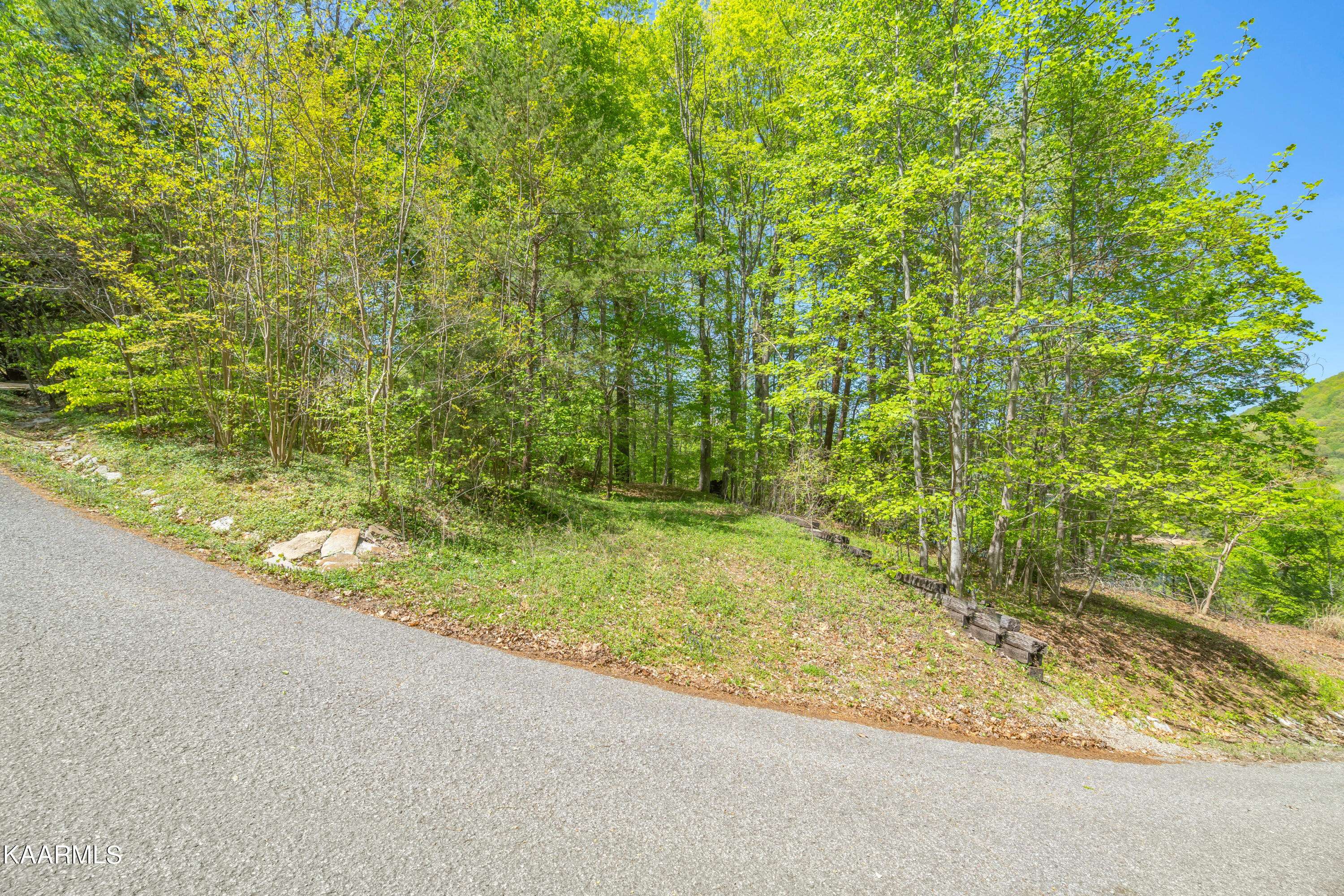 Caryville, TN 37714,Lot 51 S Shorewood LN