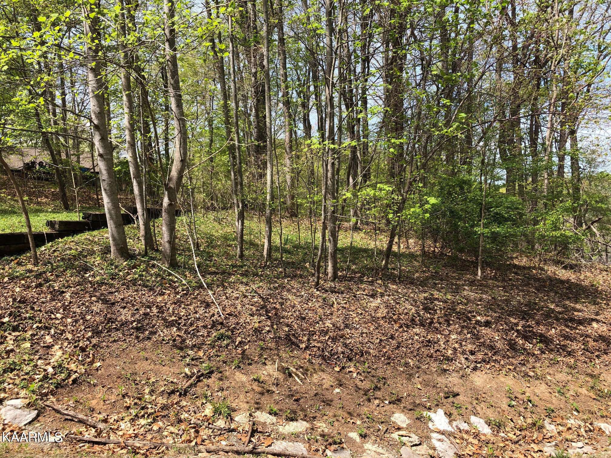 Caryville, TN 37714,Lot 51 S Shorewood LN