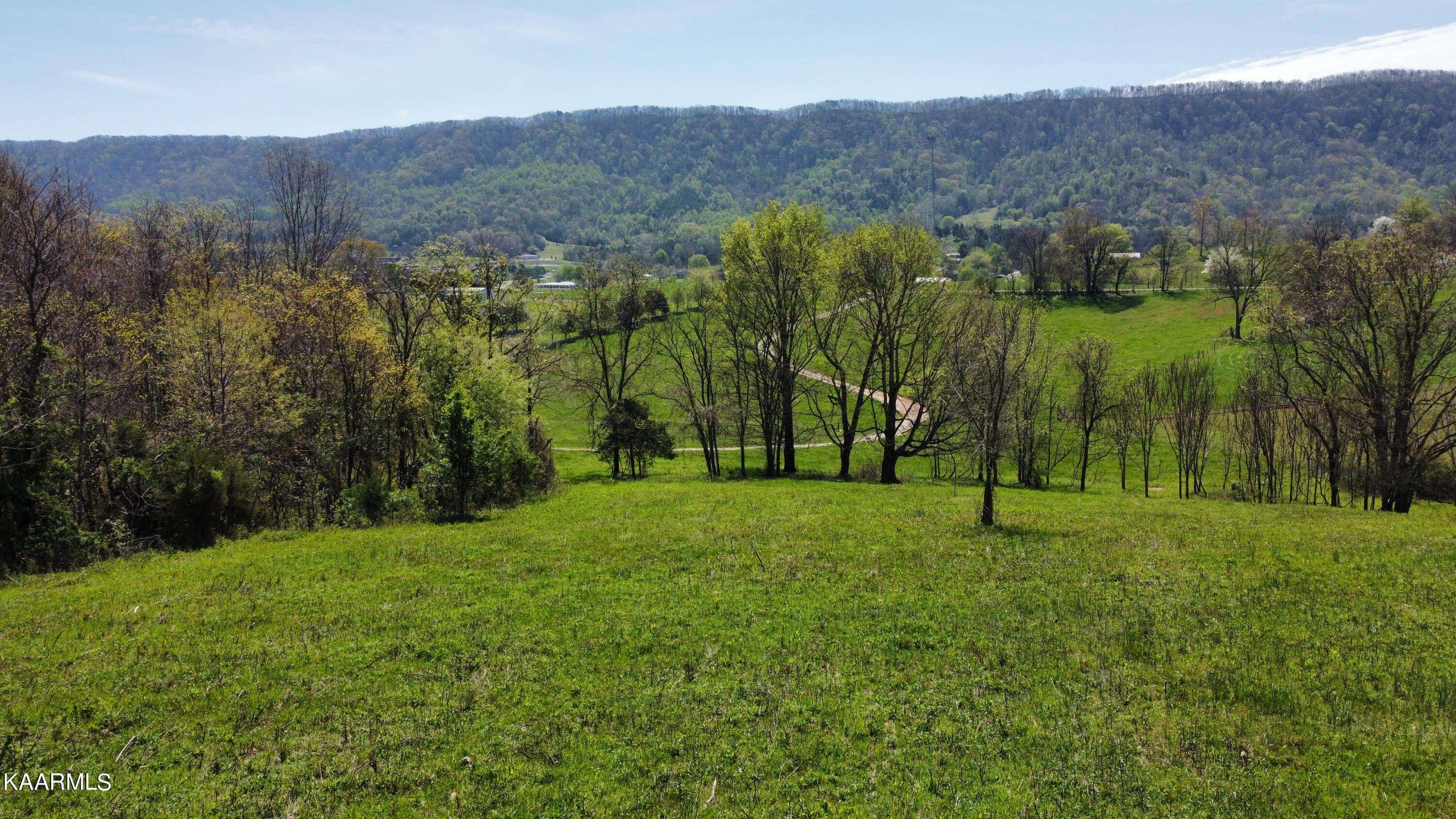 Washburn, TN 37888,Tract C 12 Acres off Shirley Road