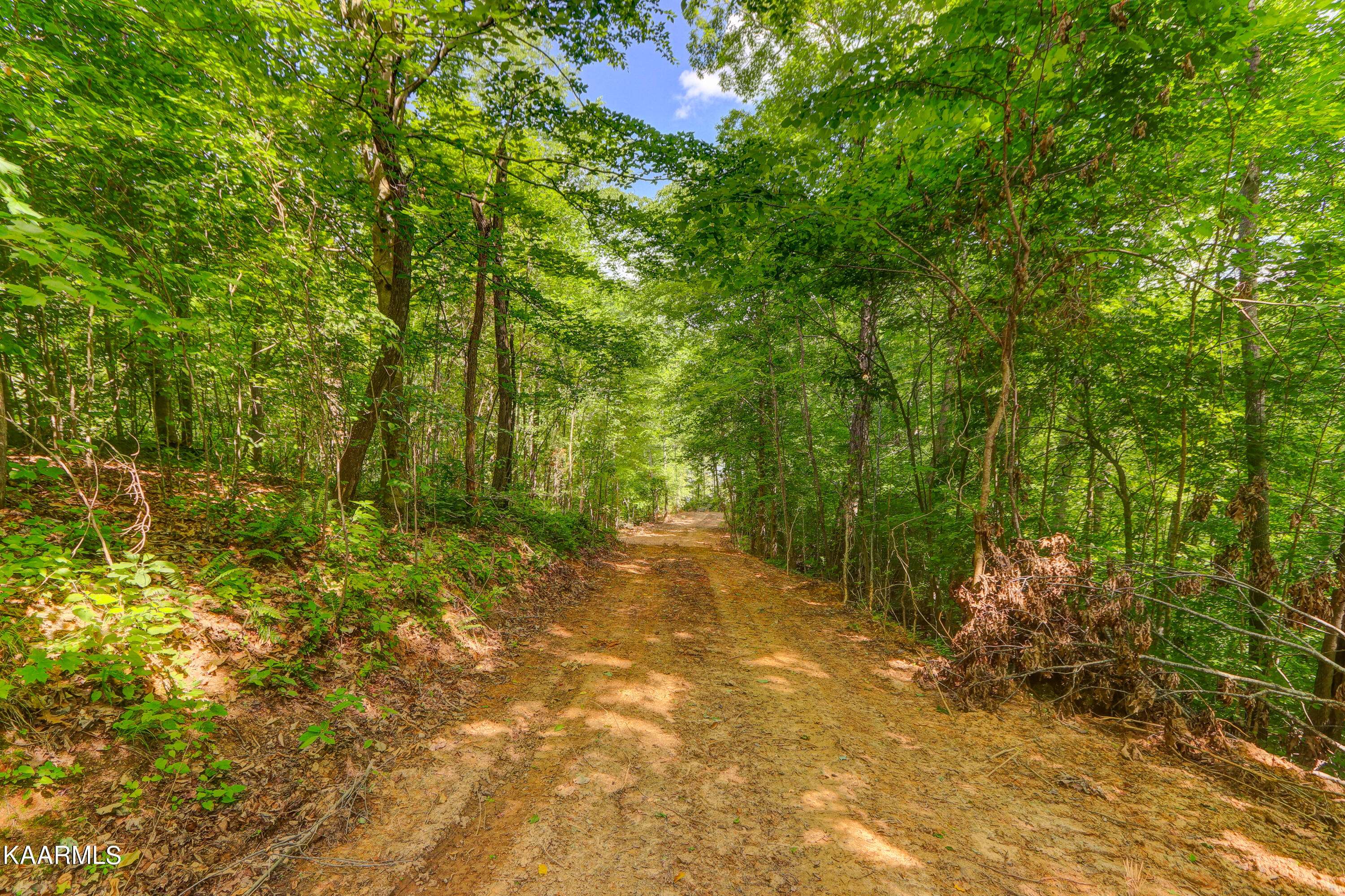 Washburn, TN 37888,Lot 5 Norris Point