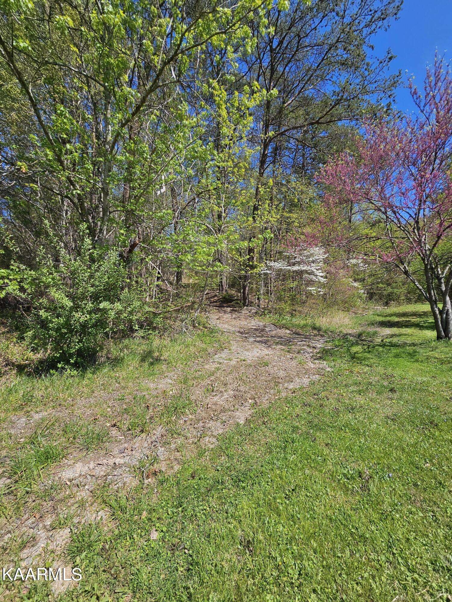 Heiskell, TN 37754,183 Foust Hollow Rd