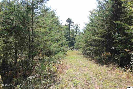 Sevierville, TN 37876,Lot 53 Mountain Ash Way