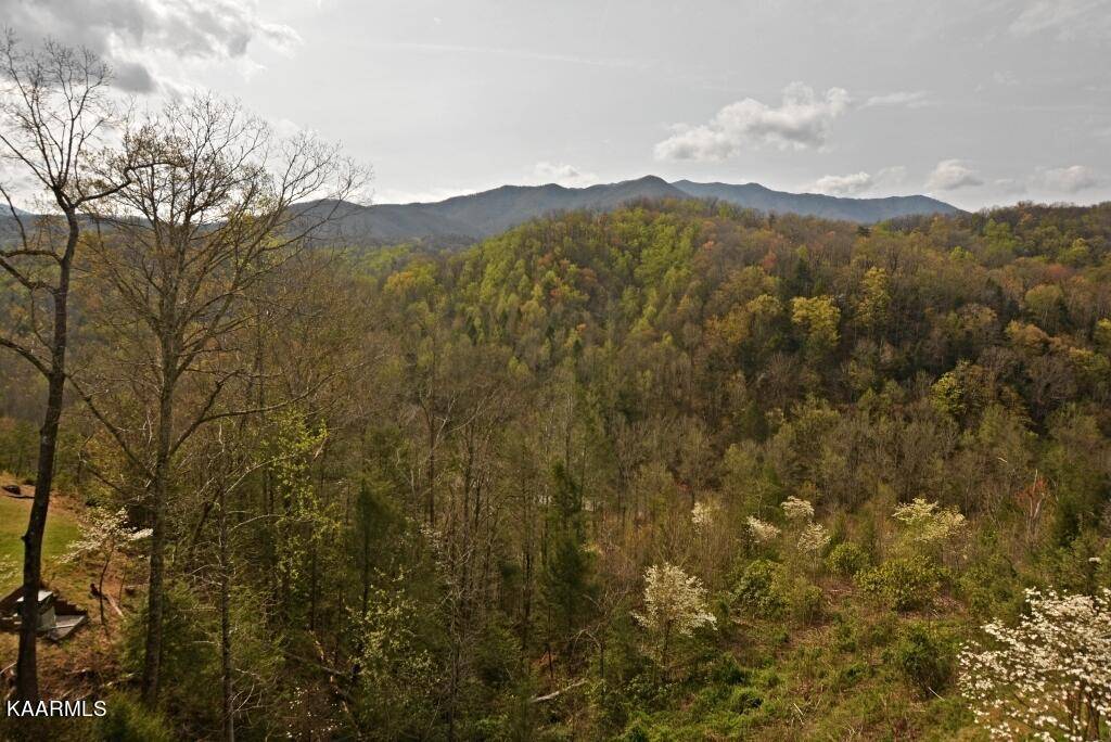 Gatlinburg, TN 37738,1824 Oriole Rd #APT 307