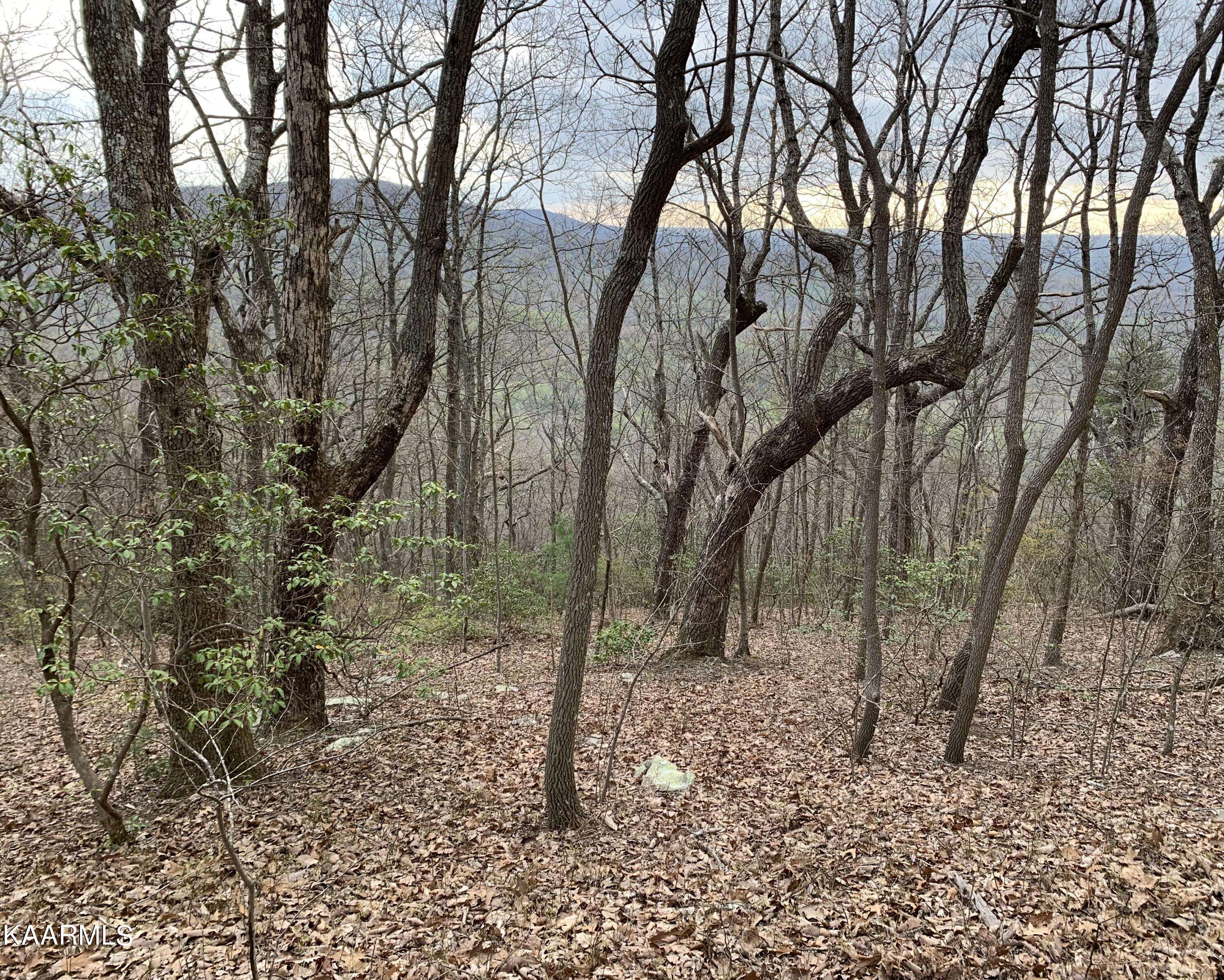 Crab Orchard, TN 37723,Lot 238 Renegade Mountain Pkwy