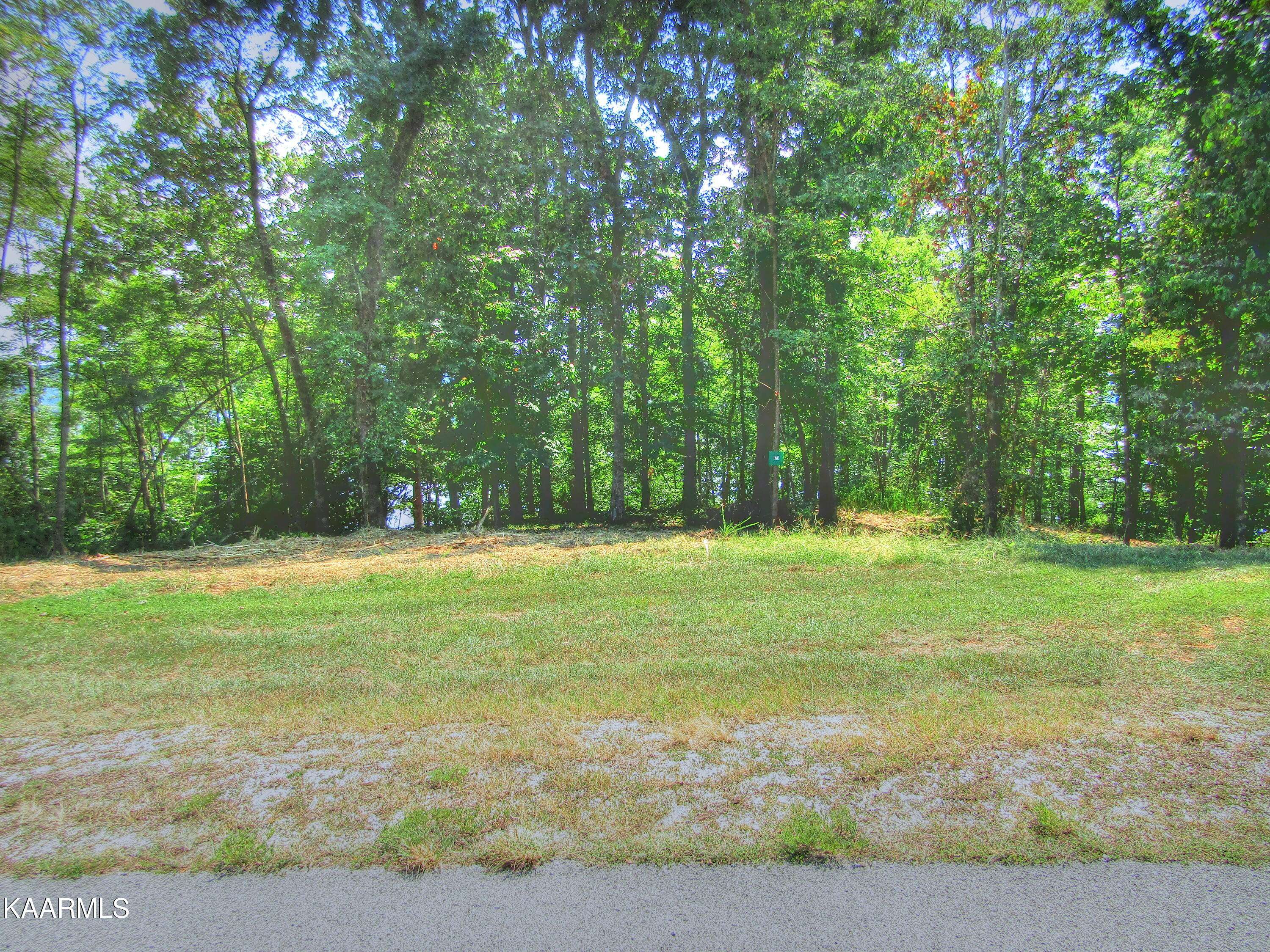 Rockwood, TN 37854,Lot 173 Shore DR