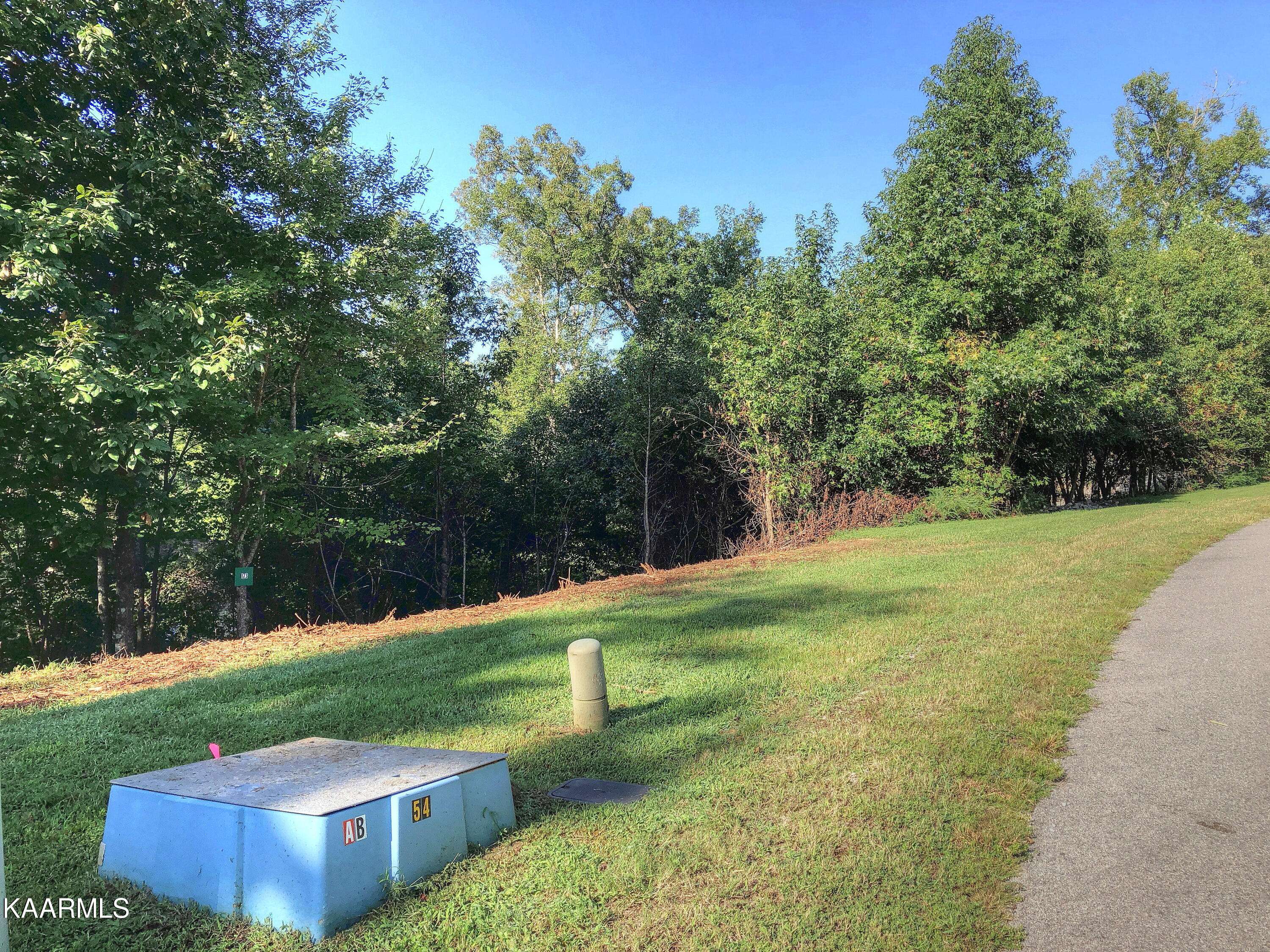 Rockwood, TN 37854,Lot 173 Shore DR