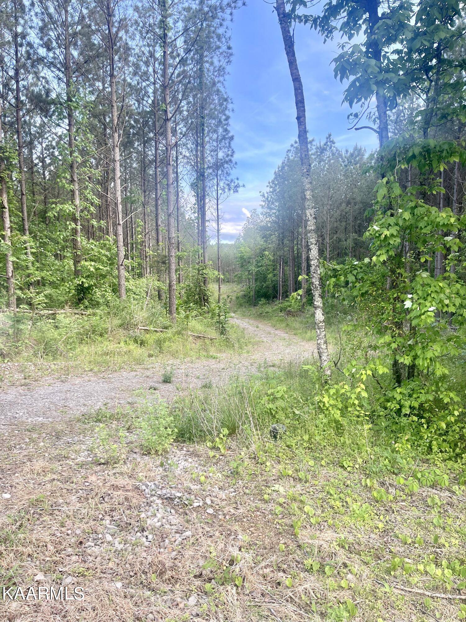 Niota, TN 37826,Lot 15 County Road 226