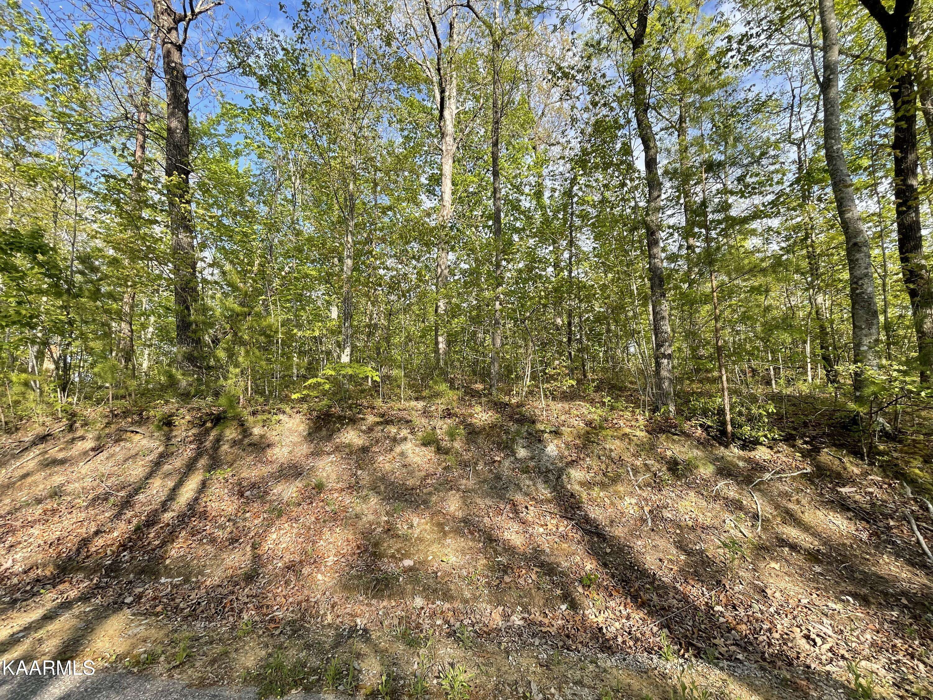 Jamestown, TN 38556,Lot 18 Eagle Bluff LN