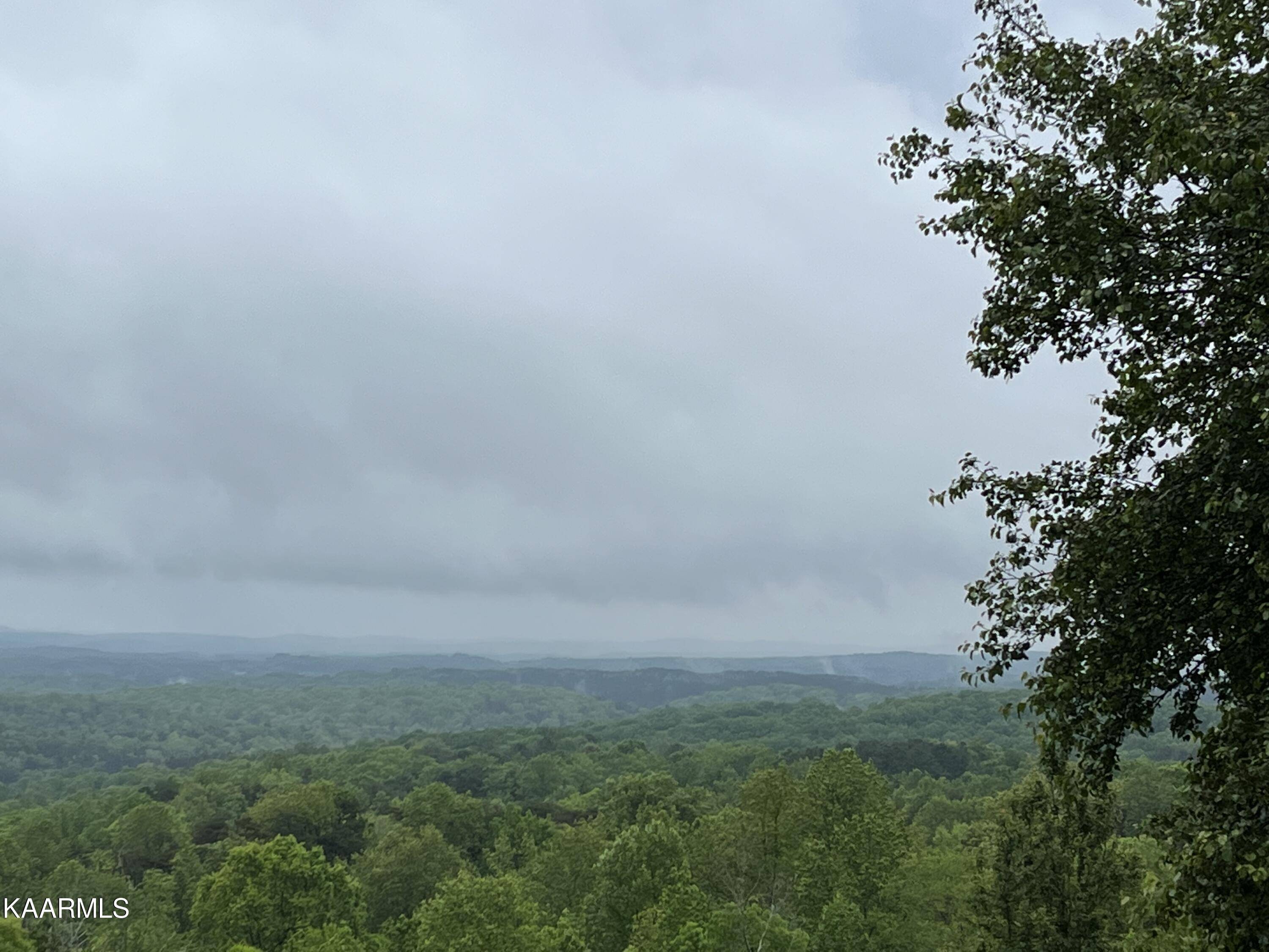 Dayton, TN 37321,Lot 41 Black Oak Estates Rd