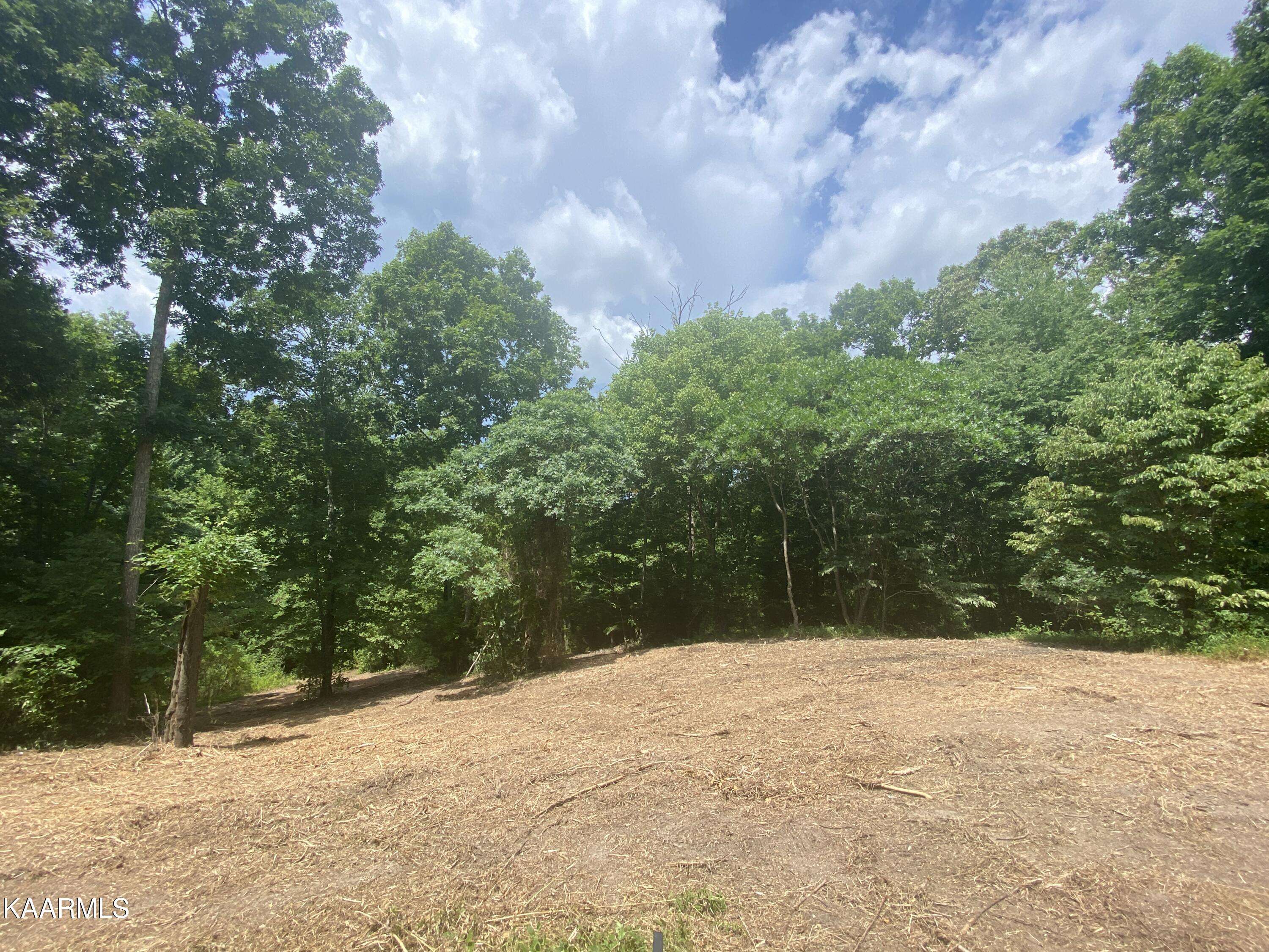 Speedwell, TN 37870,Lot 15 Saddleridge DR