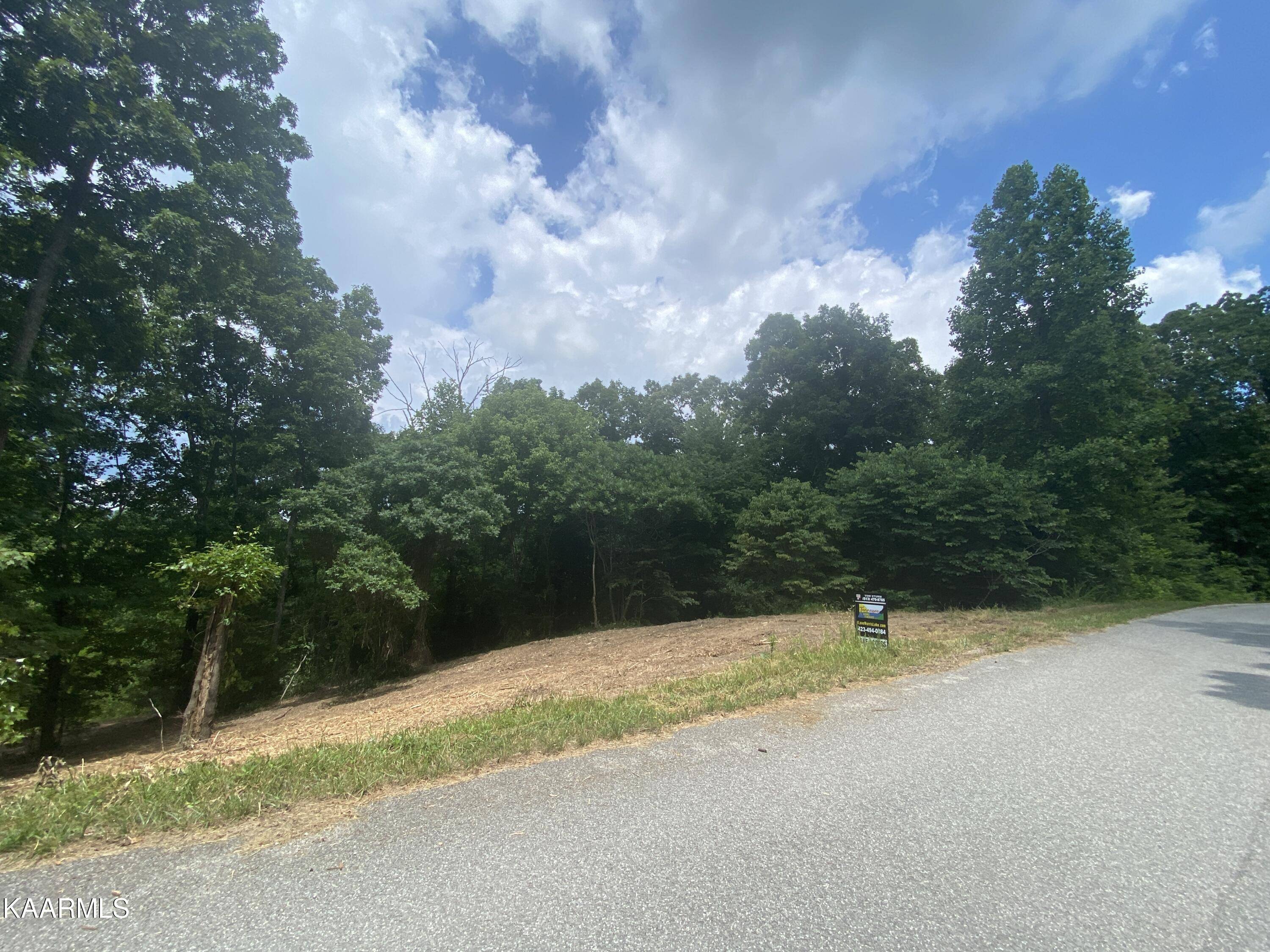 Speedwell, TN 37870,Lot 15 Saddleridge DR