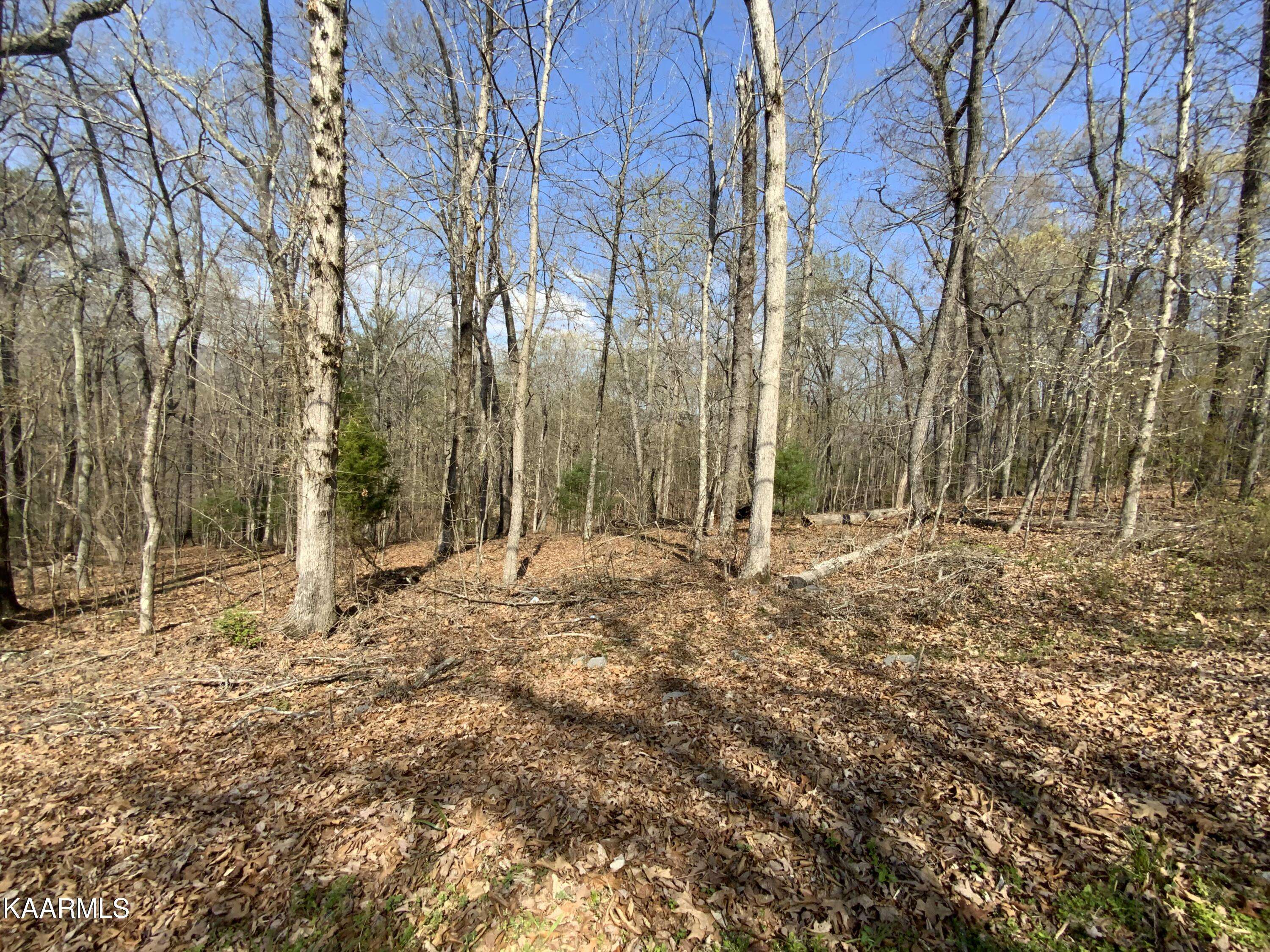 Rockwood, TN 37854,Rendezvous Road Lot # 21