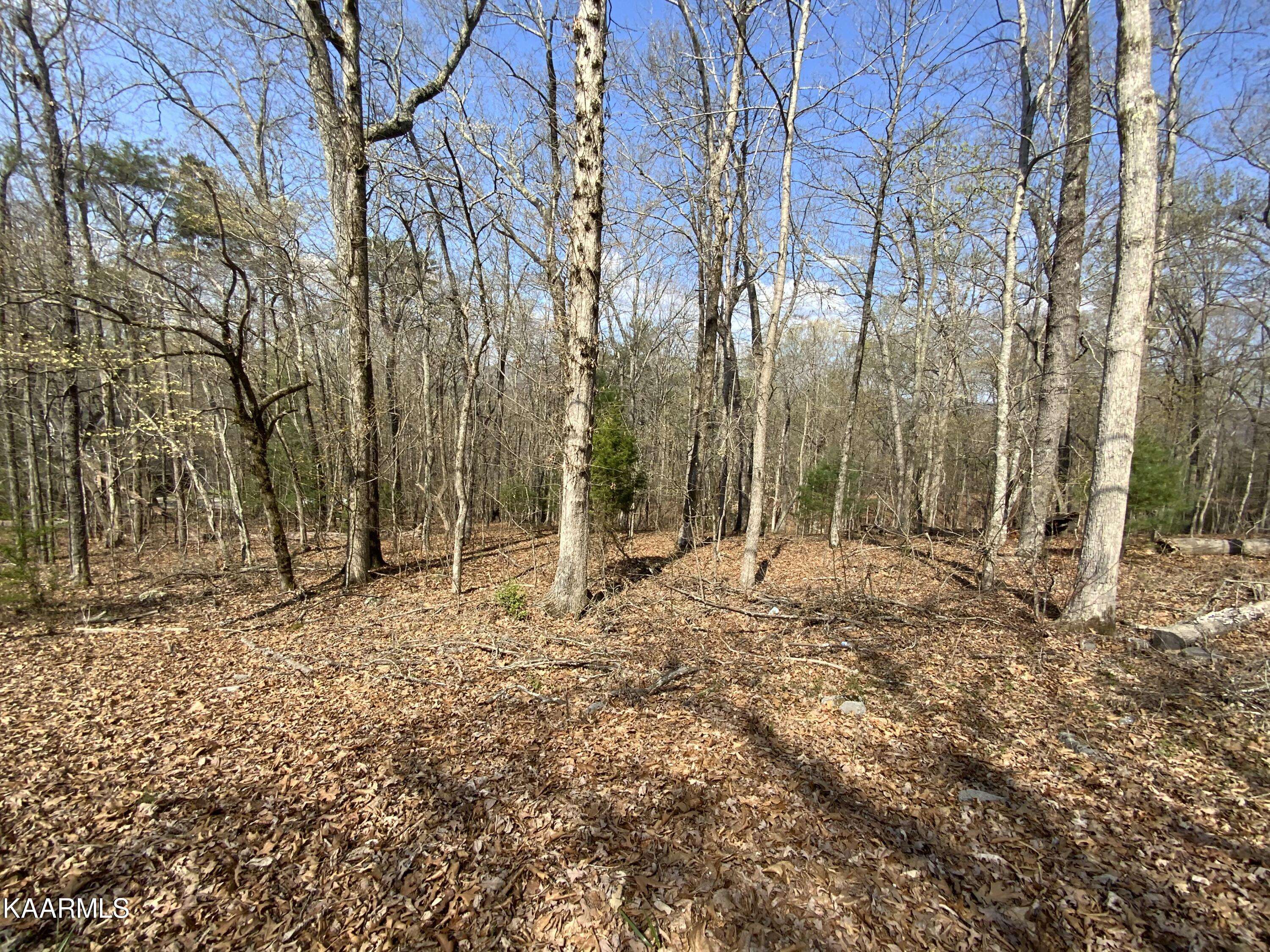 Rockwood, TN 37854,Rendezvous Road Lot # 21