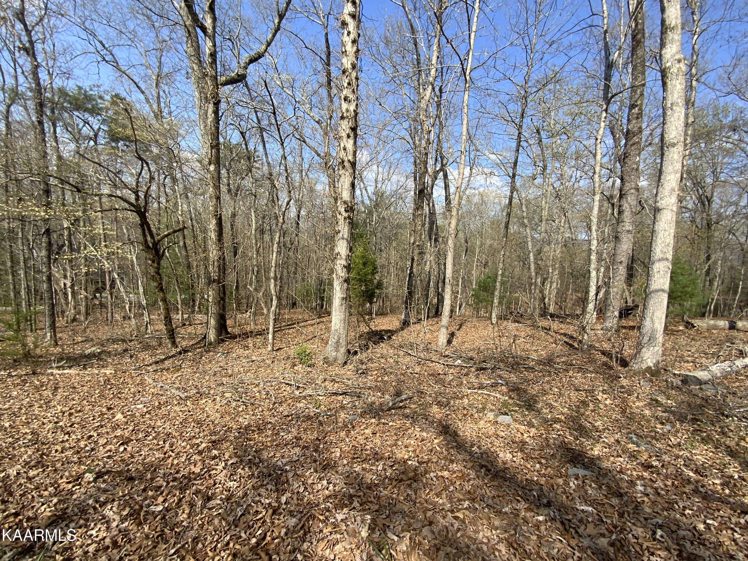 Rockwood, TN 37854,Rendezvous Road Lot # 21