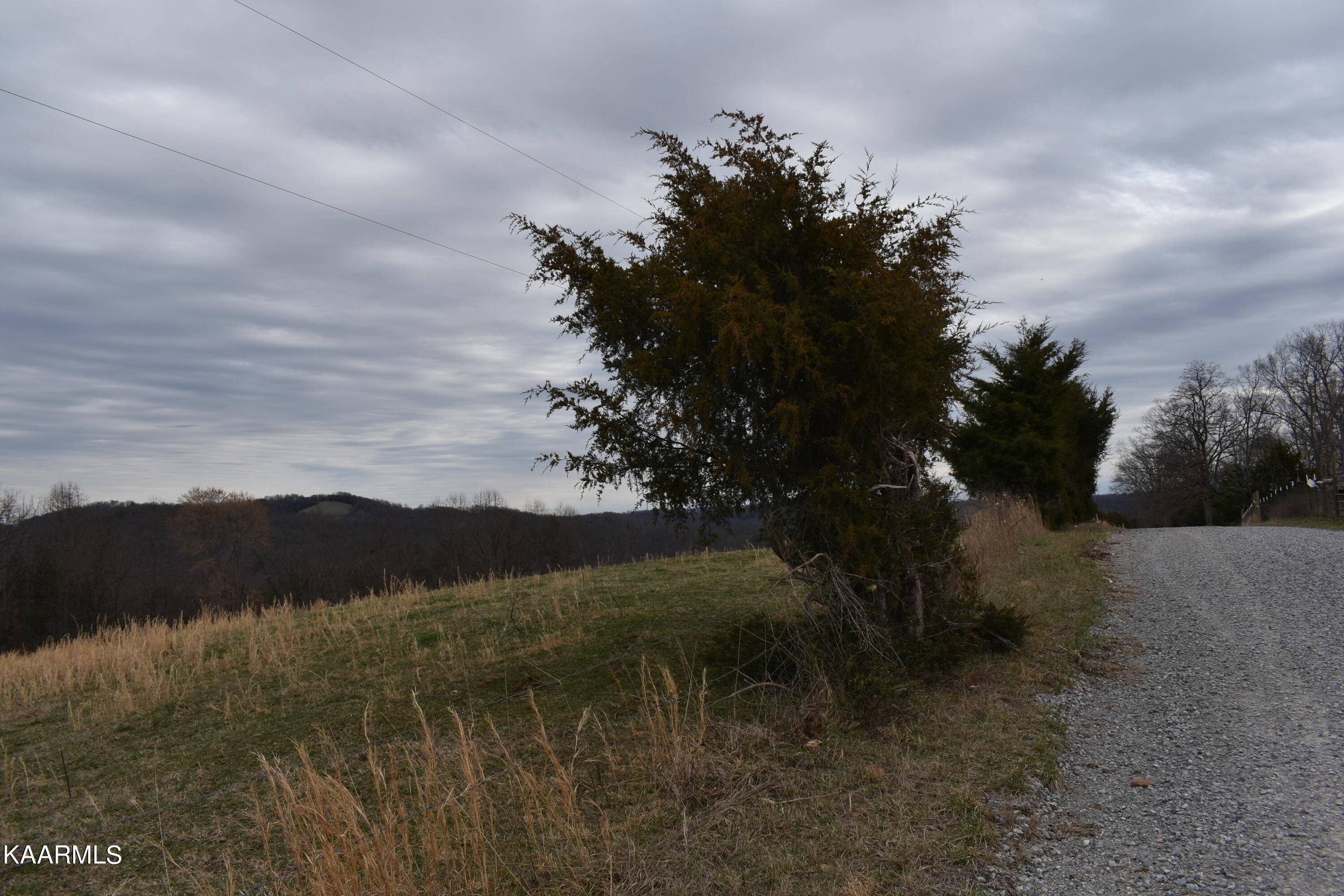 Speedwell, TN 37870,Lot 21 Jones Ridge Rd