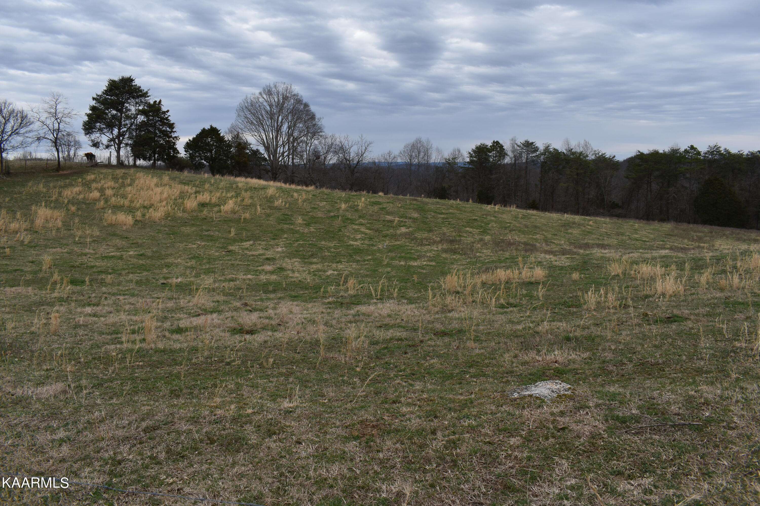 Speedwell, TN 37870,Lot 22 Jones Ridge Rd