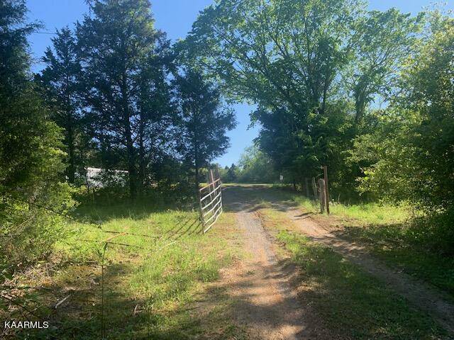 Evensville, TN 37332,56 AC Texas Grove Rd