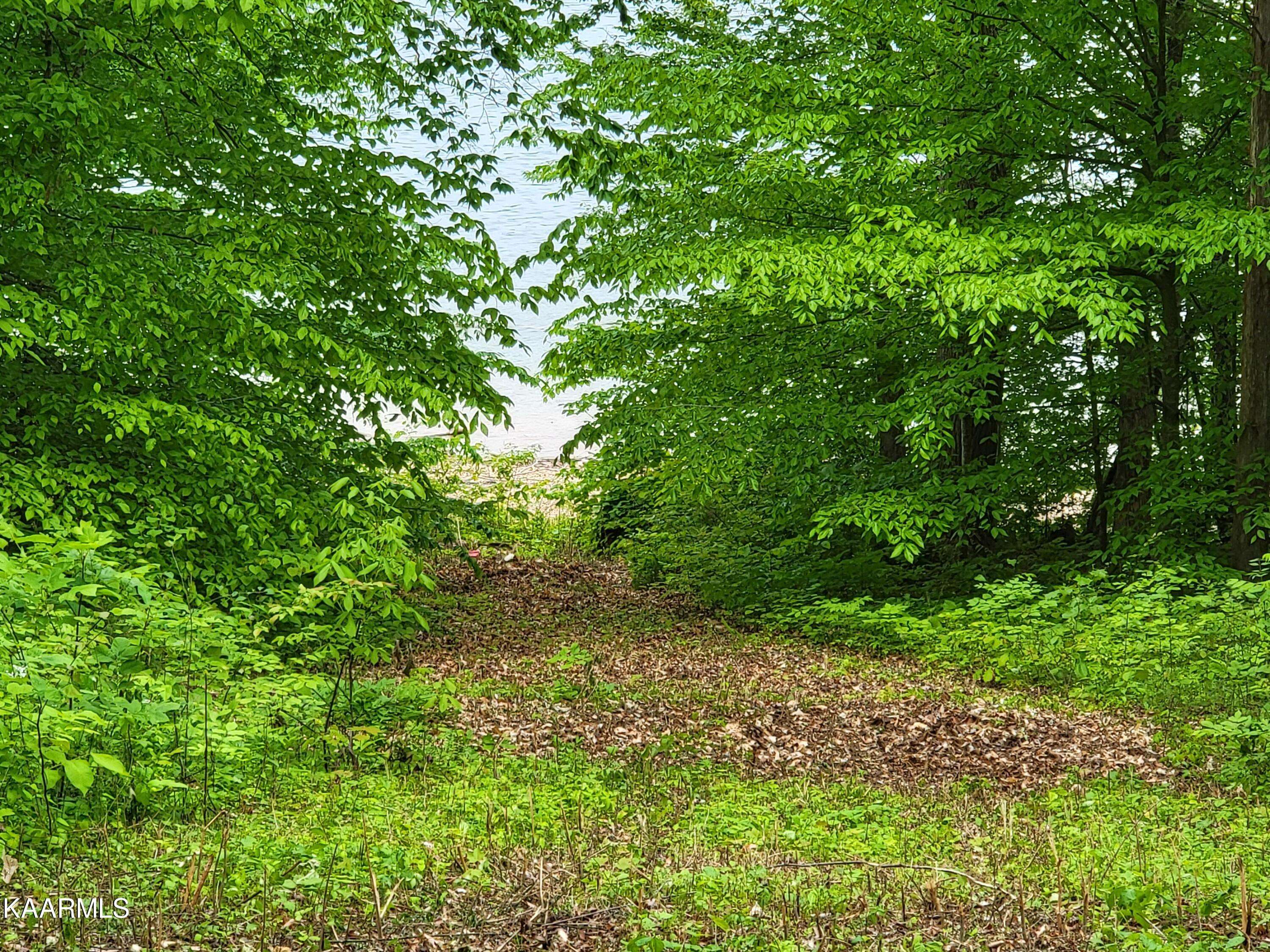 Maynardville, TN 37807,Lot 104 Hickory Pointe DR