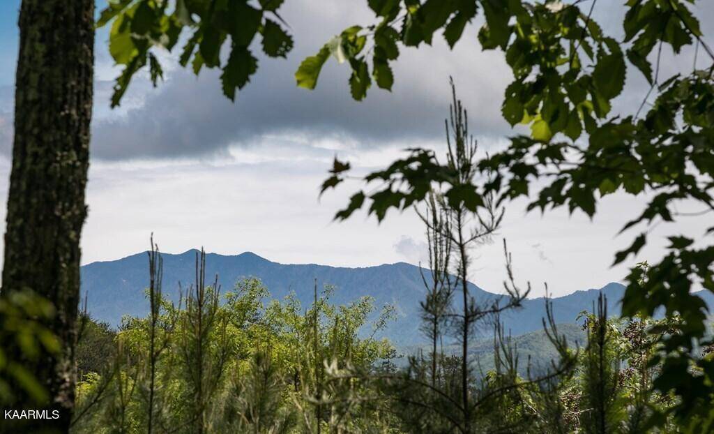 Sevierville, TN 37862,Lot 134 Summit Trails Drive DR