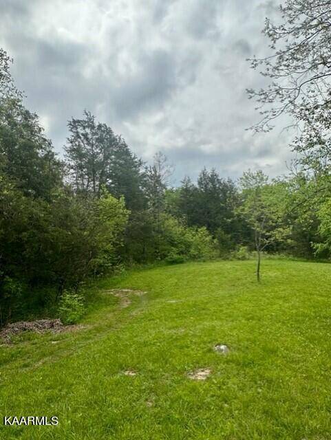 Maynardville, TN 37807,383 Wild Turkey LN