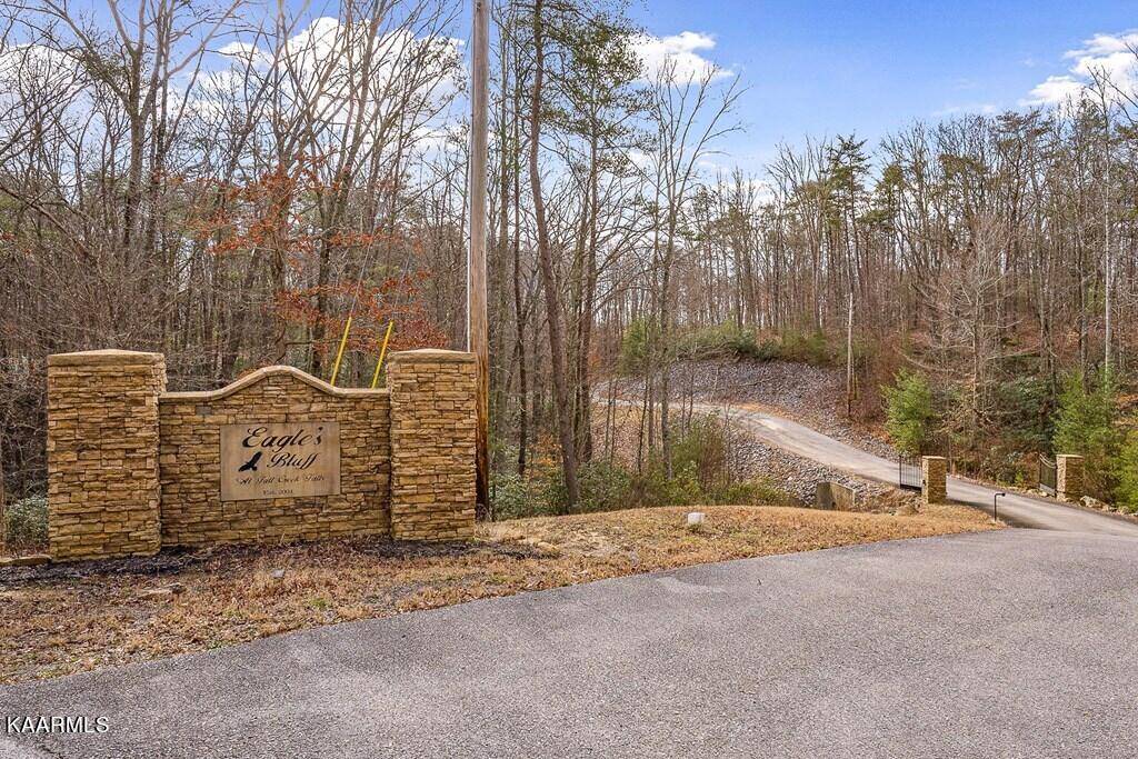 Spencer, TN 38585,00 Eagles Bluff CIR