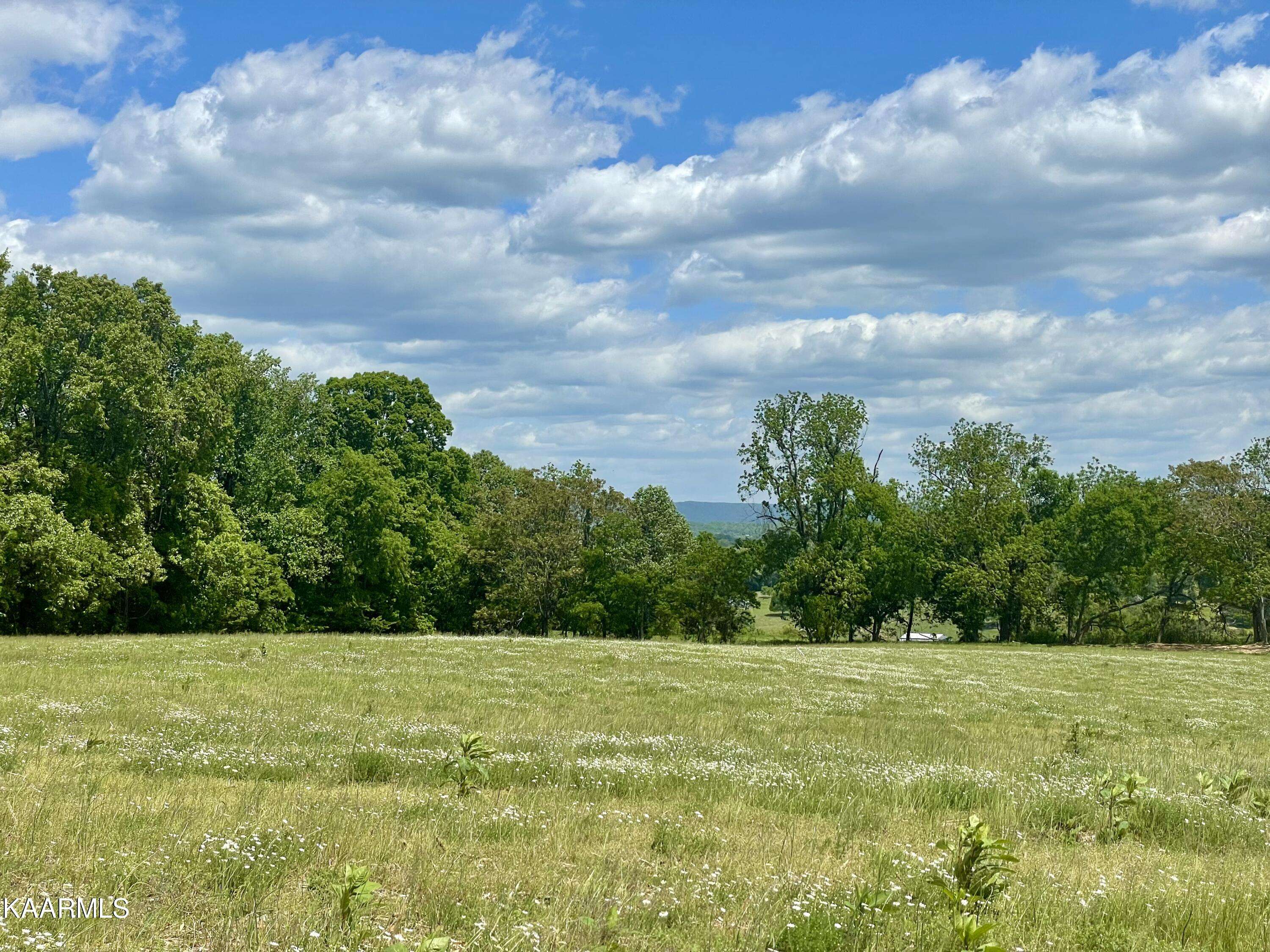 Rutledge, TN 37861,Clark Rd, Somerset Farms Lot 3