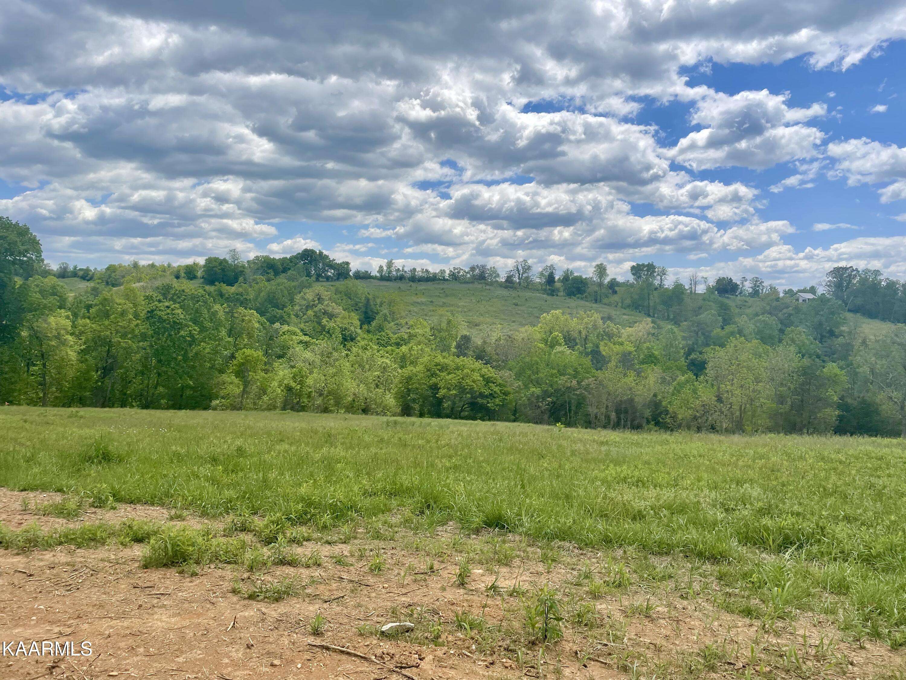 Rutledge, TN 37861,Clark Rd, Somerset Farms Lot 8