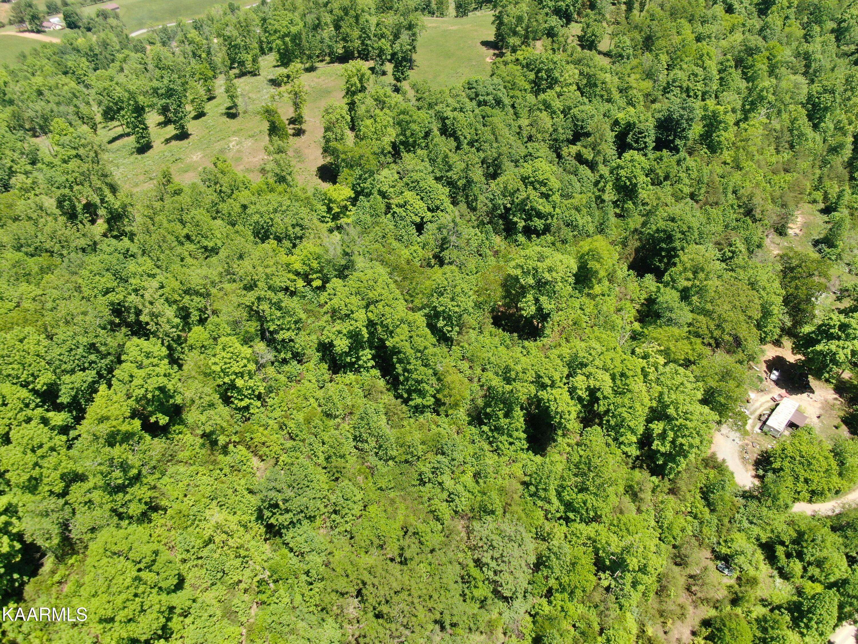 New Tazewell, TN 37825,20.8 Acres Molly Hollow Rd